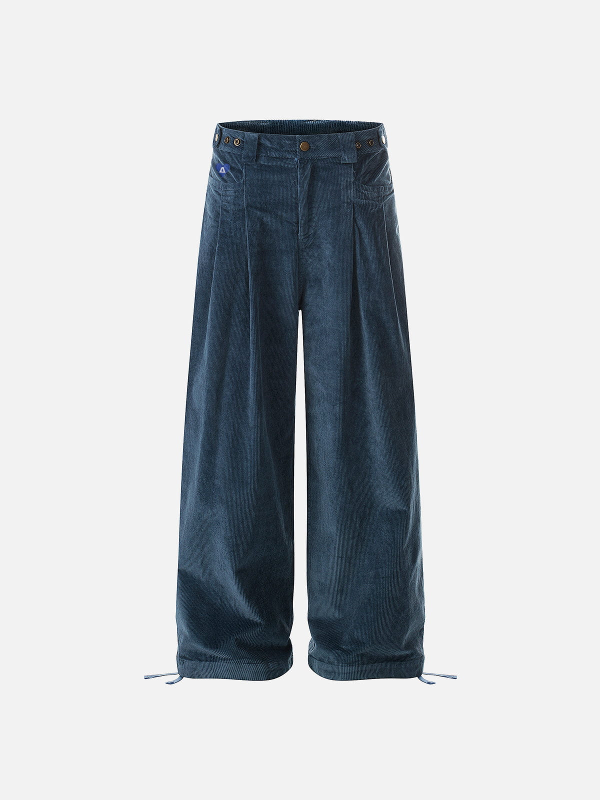 Aelfric Eden Corduroy Pleated Baggy Pants