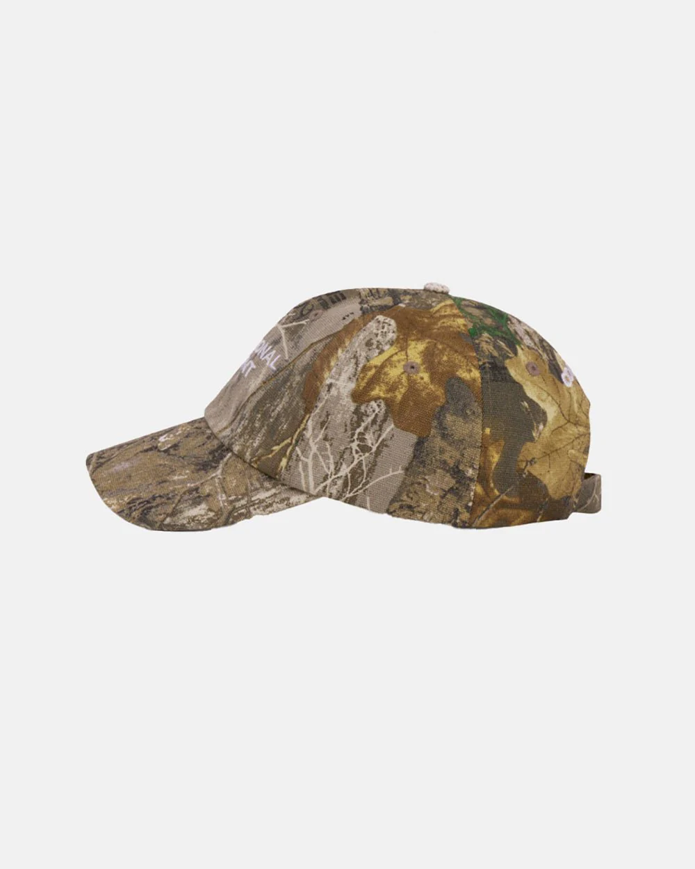 INTERNATIONAL CAP REALTREE