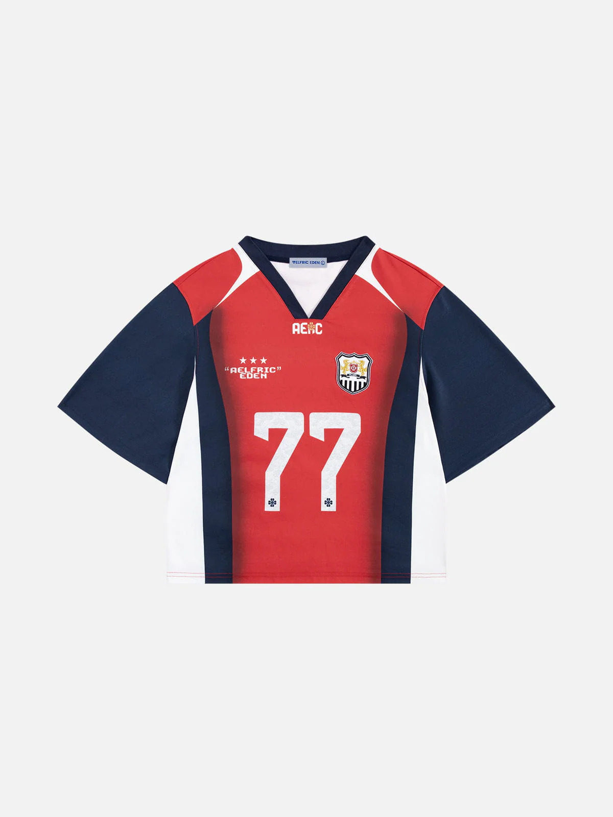 Aelfric Eden Cropped 77 V-Neck Panel Jersey Tee