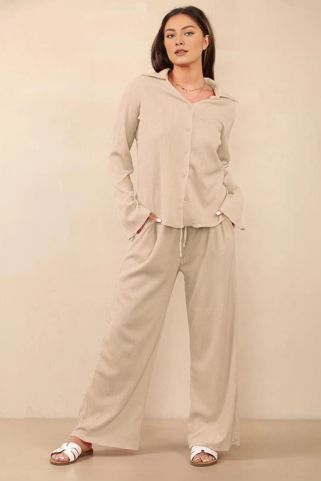 Minimalist Solid Color Collared Long Sleeve Blouse & Wide Leg Trousers Co-ord