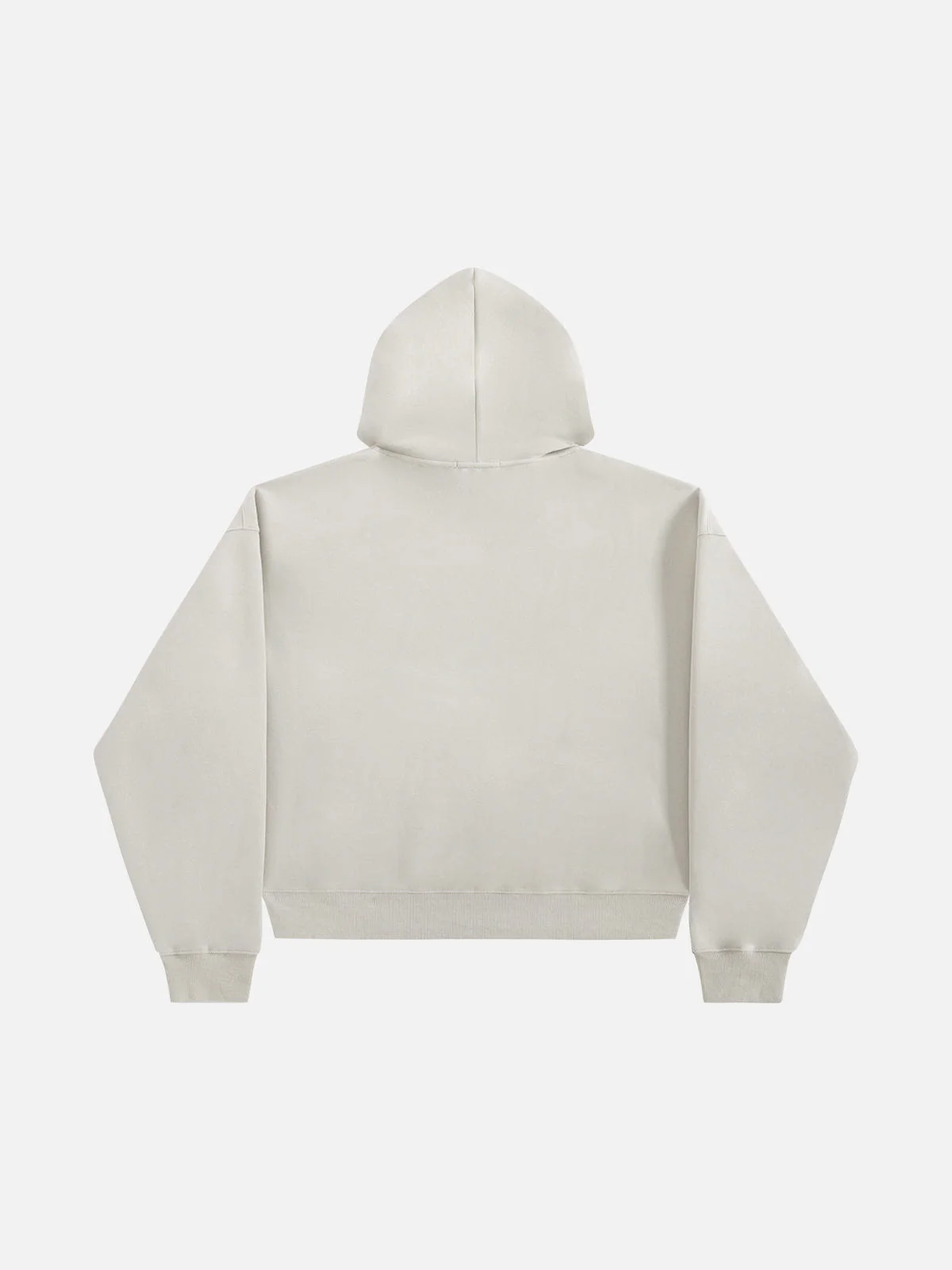 Aelfric Eden Oversized Blurring Doberman Graphic Hoodie