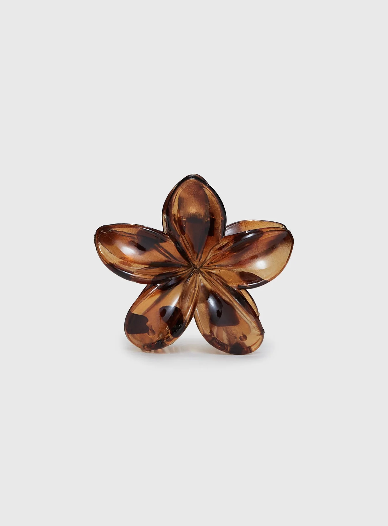 Glimmering Clip Tort