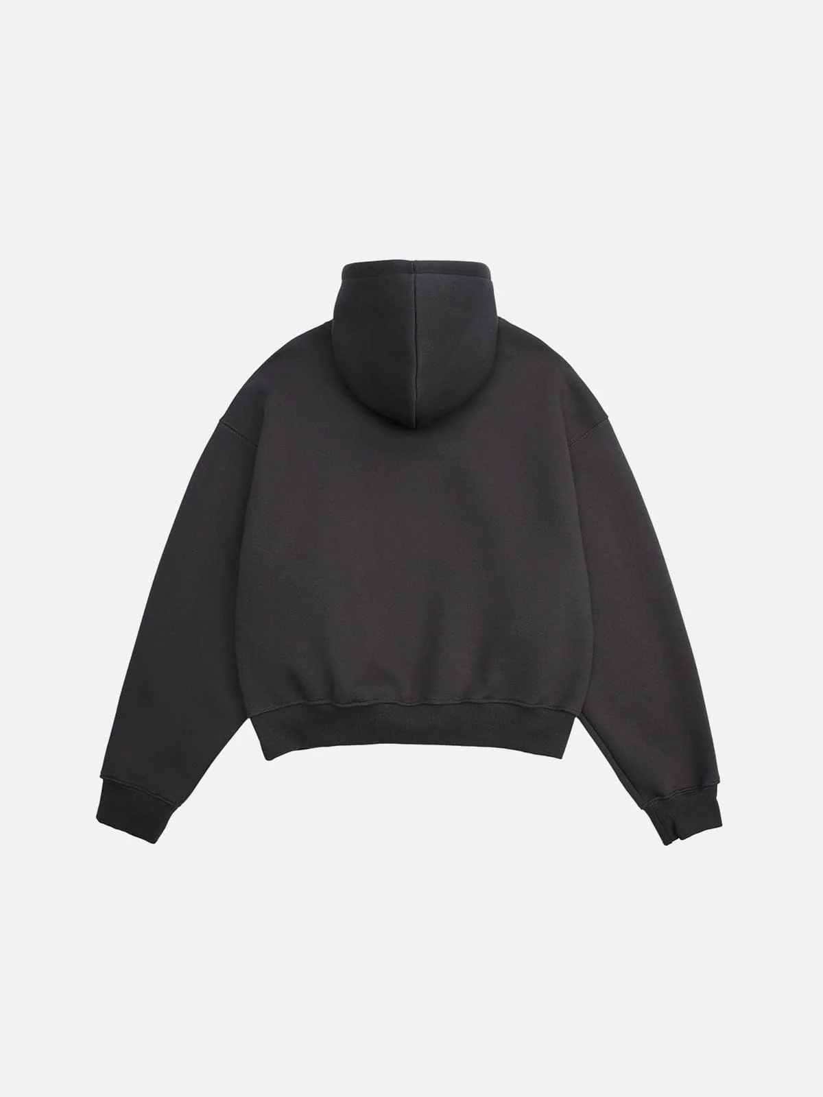 Aelfric Eden Solid Pullover V302 Boxy Hoodie