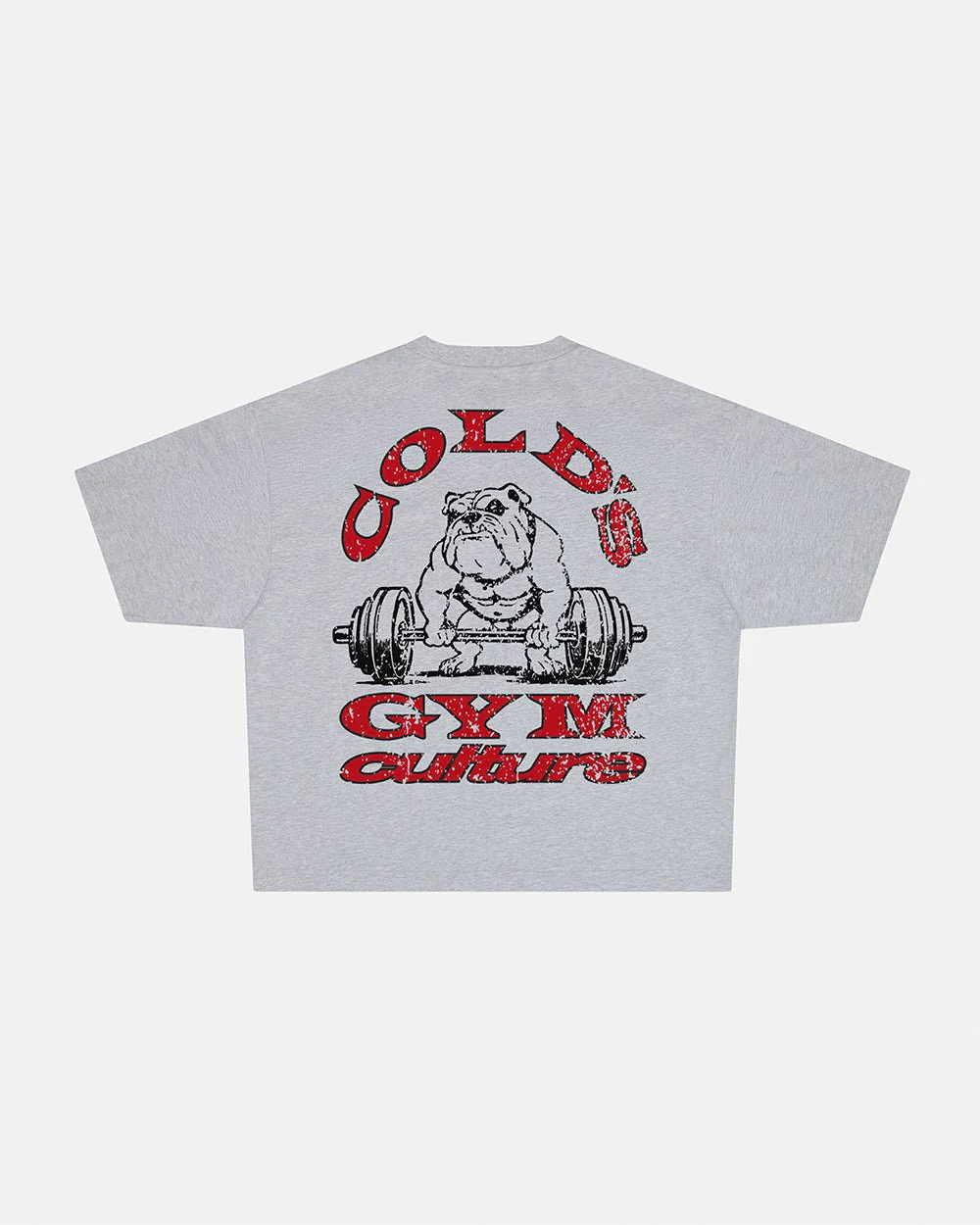 COLD´S GYM BOXY TEE GREY