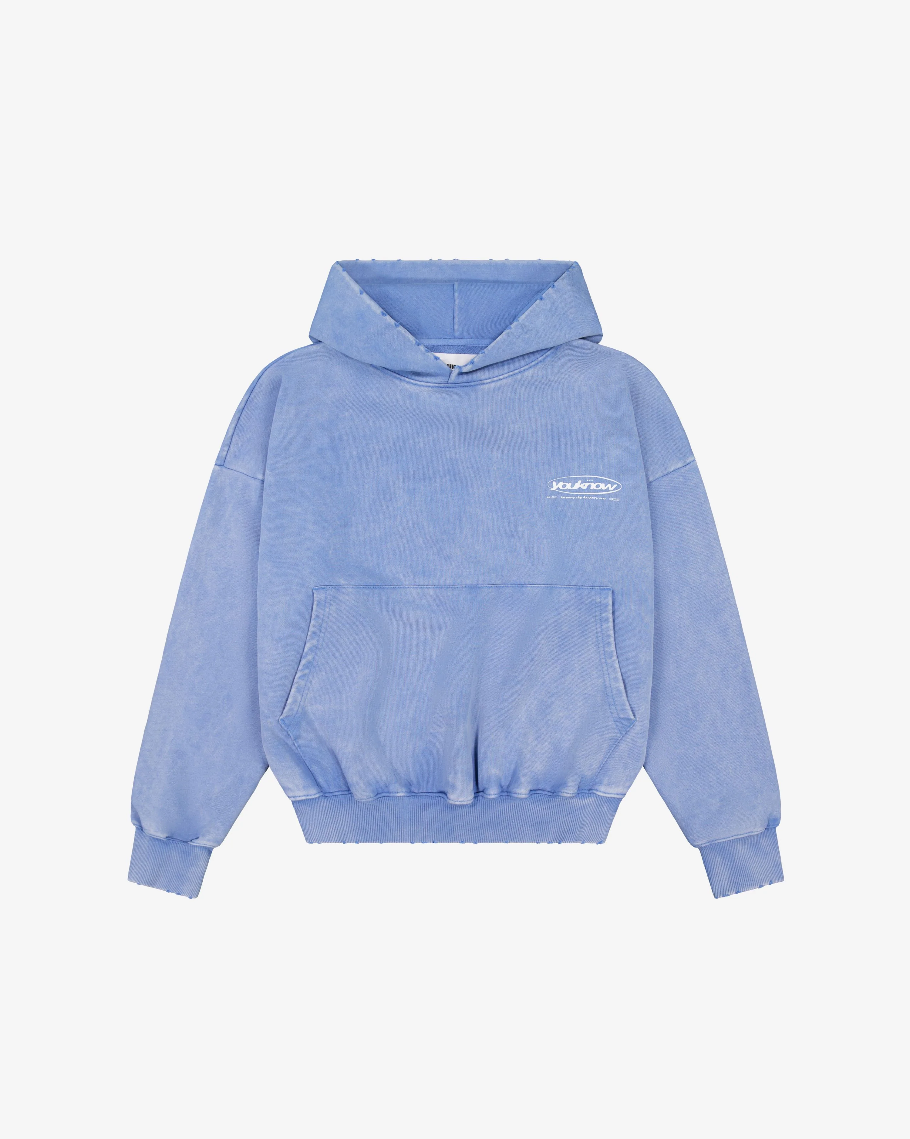 Distressed Logo Hoodie | Washed Blue