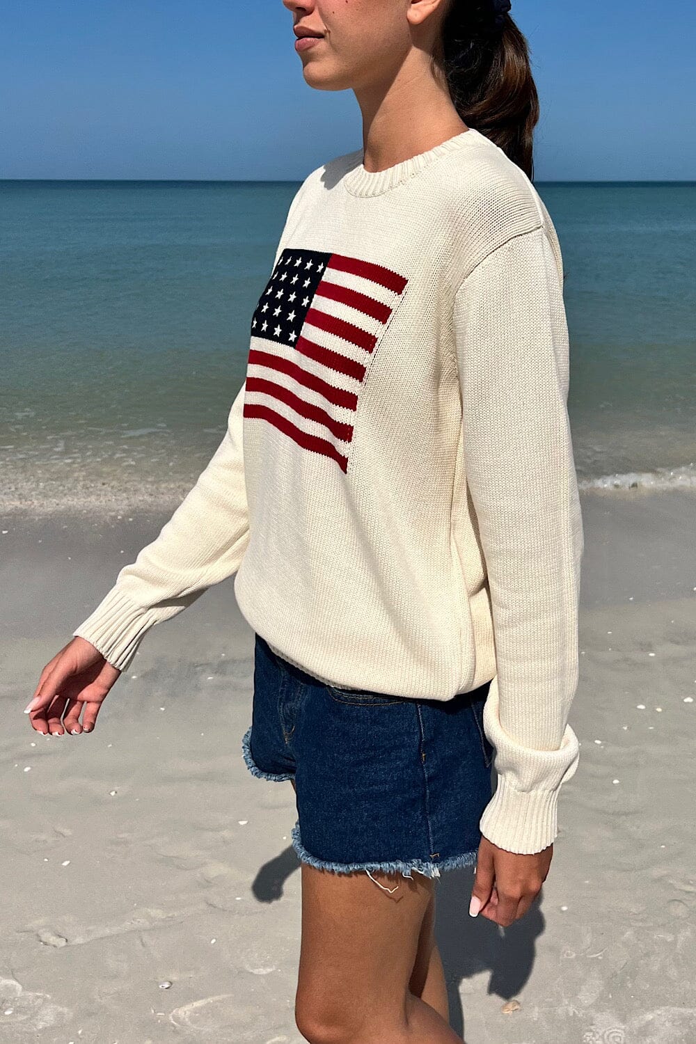 Nico American Flag Sweater