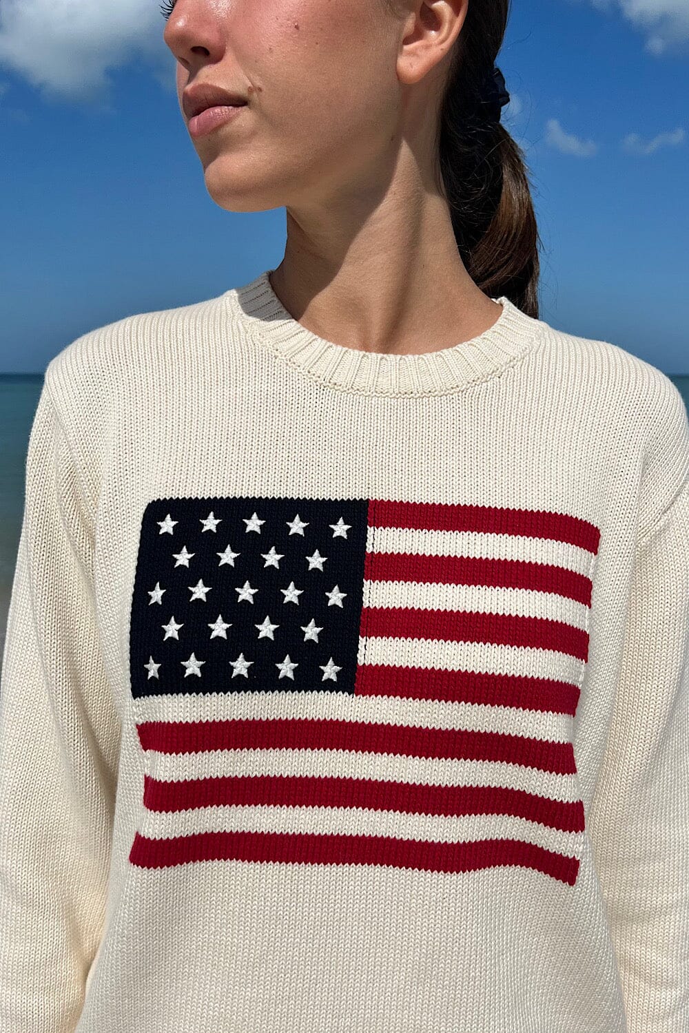 Nico American Flag Sweater