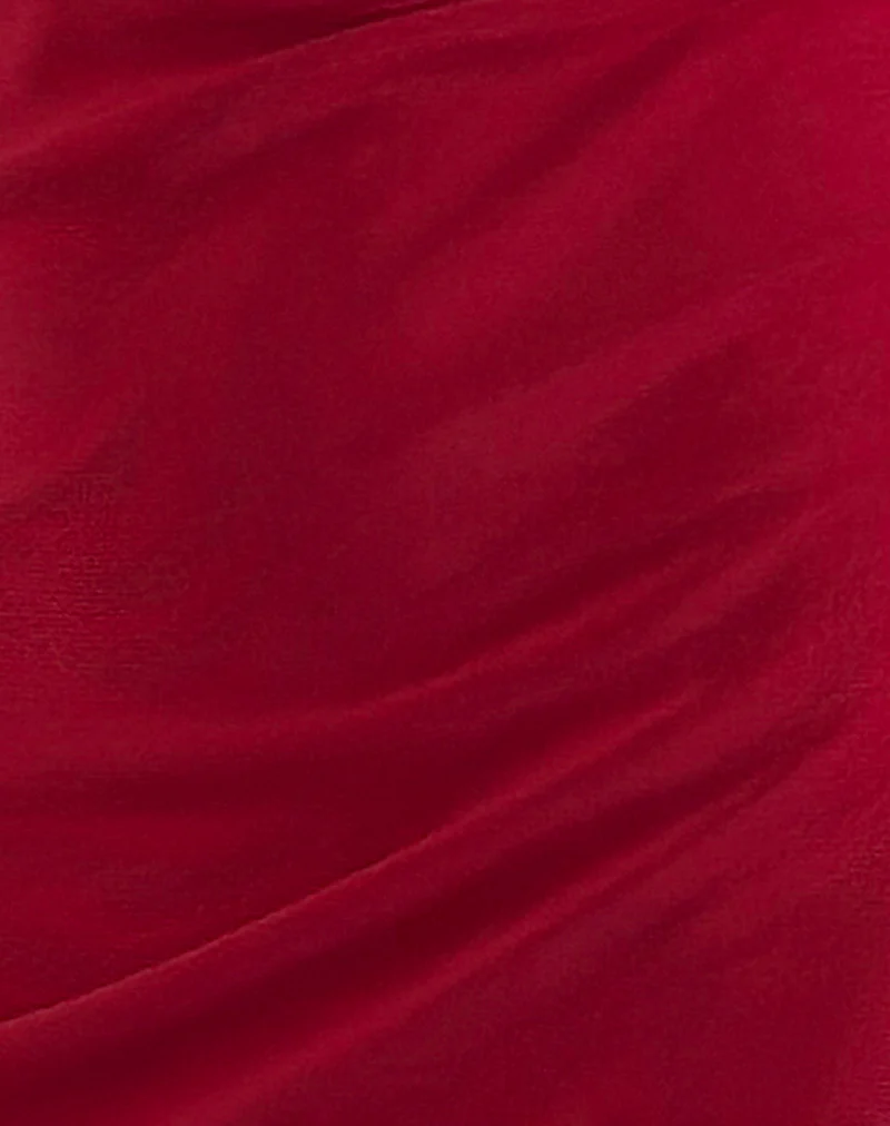 Ribka Halterneck Midi Dress in Mesh Cherry