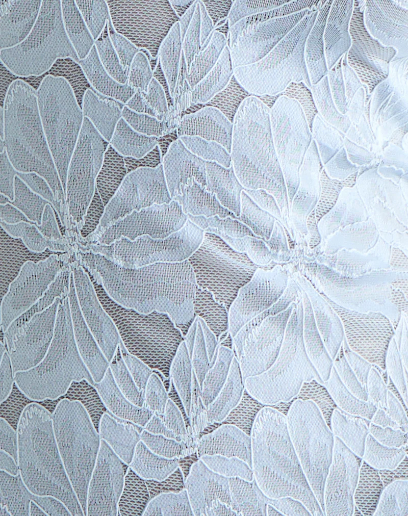 Titania Collar Mini Dress in Zinnia Lace Blue