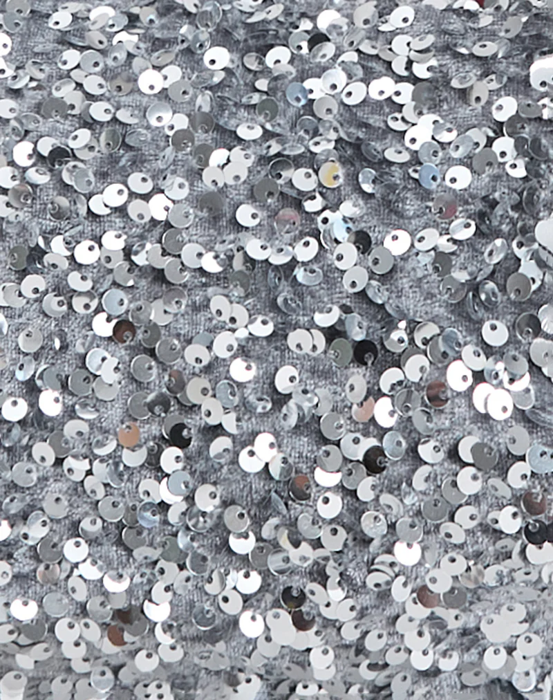 Sequin Hobo Bag in Silver