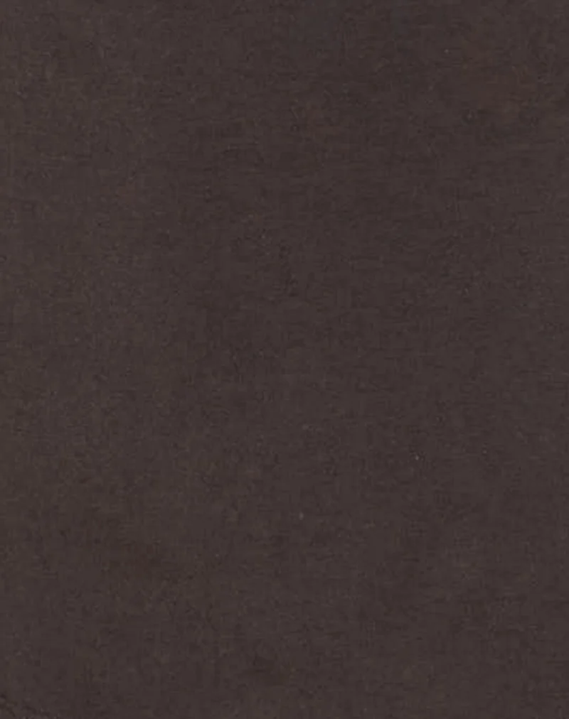 Aravie Ruched Bandeau Top in Chocolate Brown