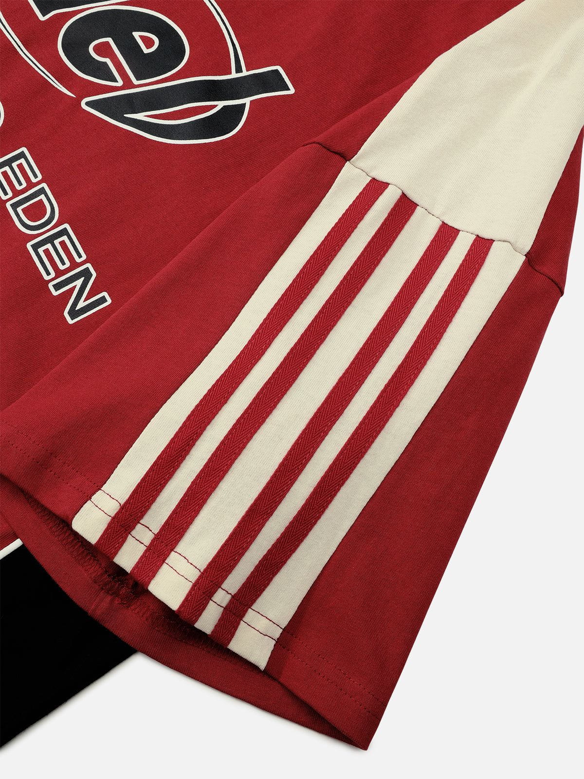 Aelfric Eden Color Block Speedway Tee