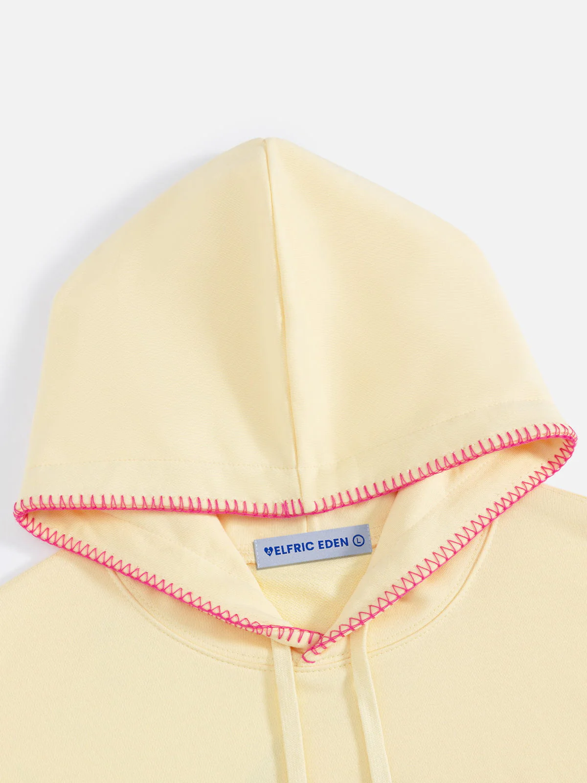 Aelfric Eden Boxy Flower Graphic Pullover Hoodie