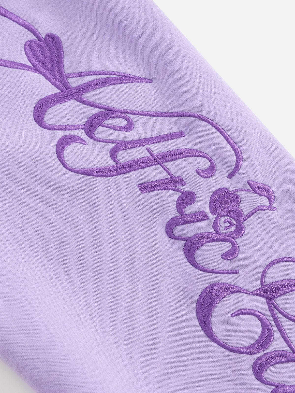 Aelfric Eden Cherry Bow Embroidery Pullover Hoodie