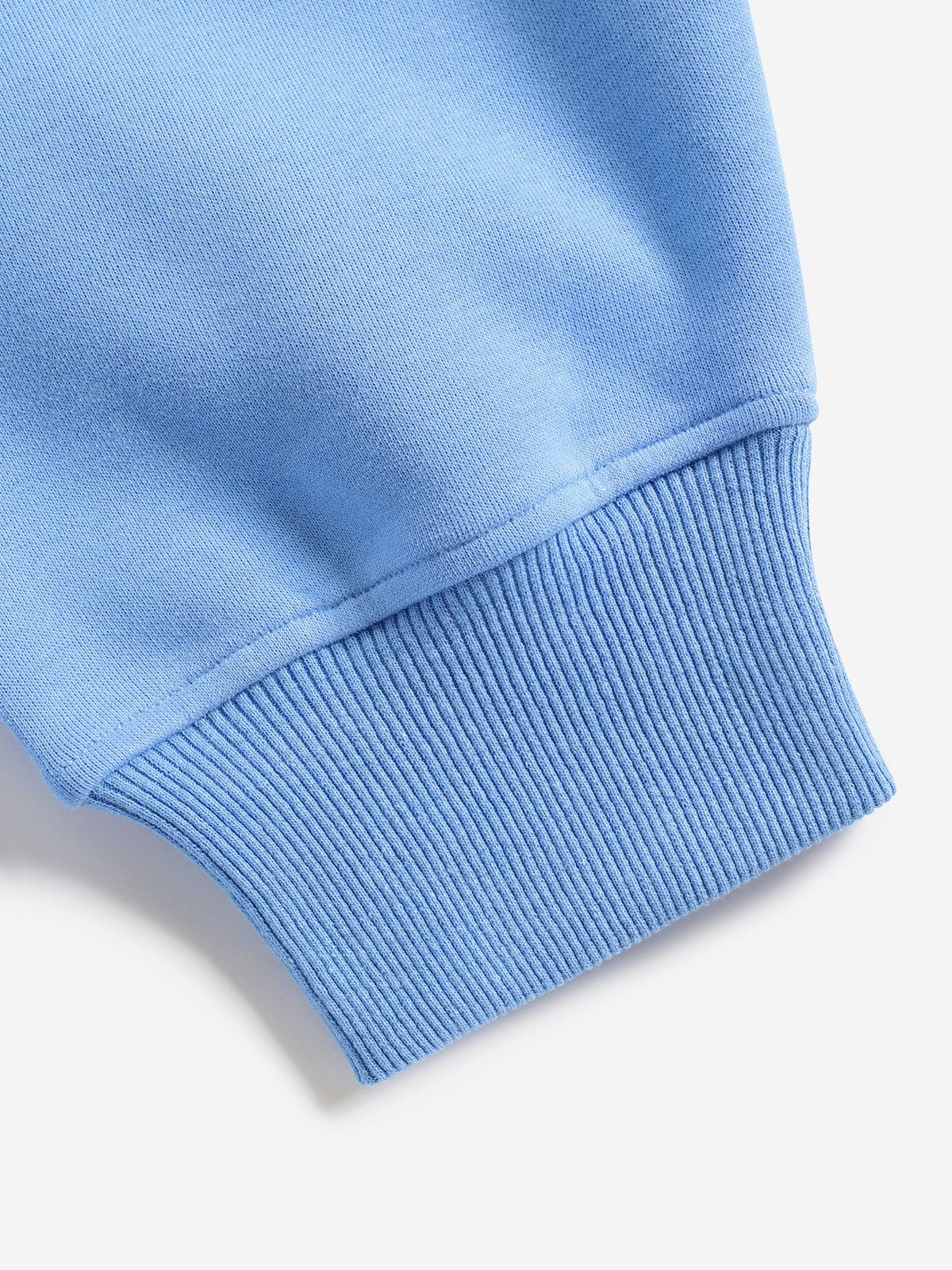 Aelfric Eden Oversized Duck Pullover Hoodie