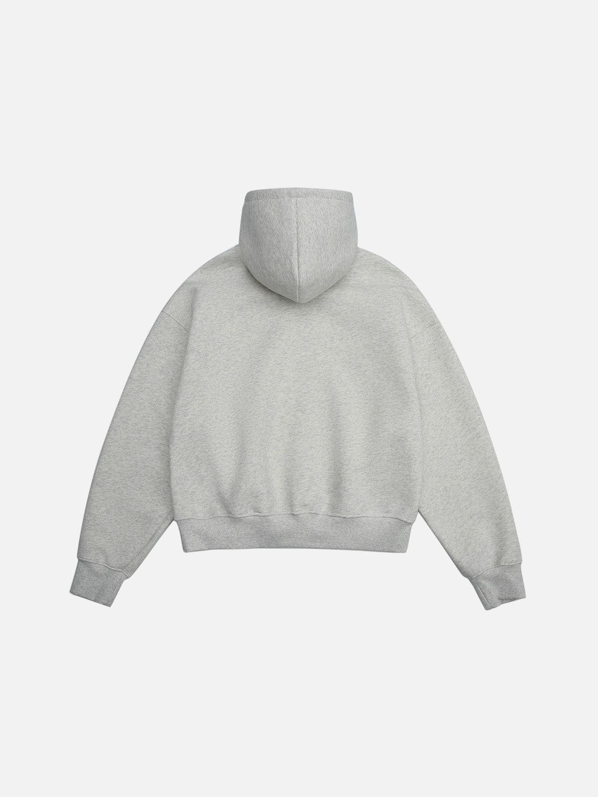 Aelfric Eden Solid Pullover V302 Boxy Hoodie