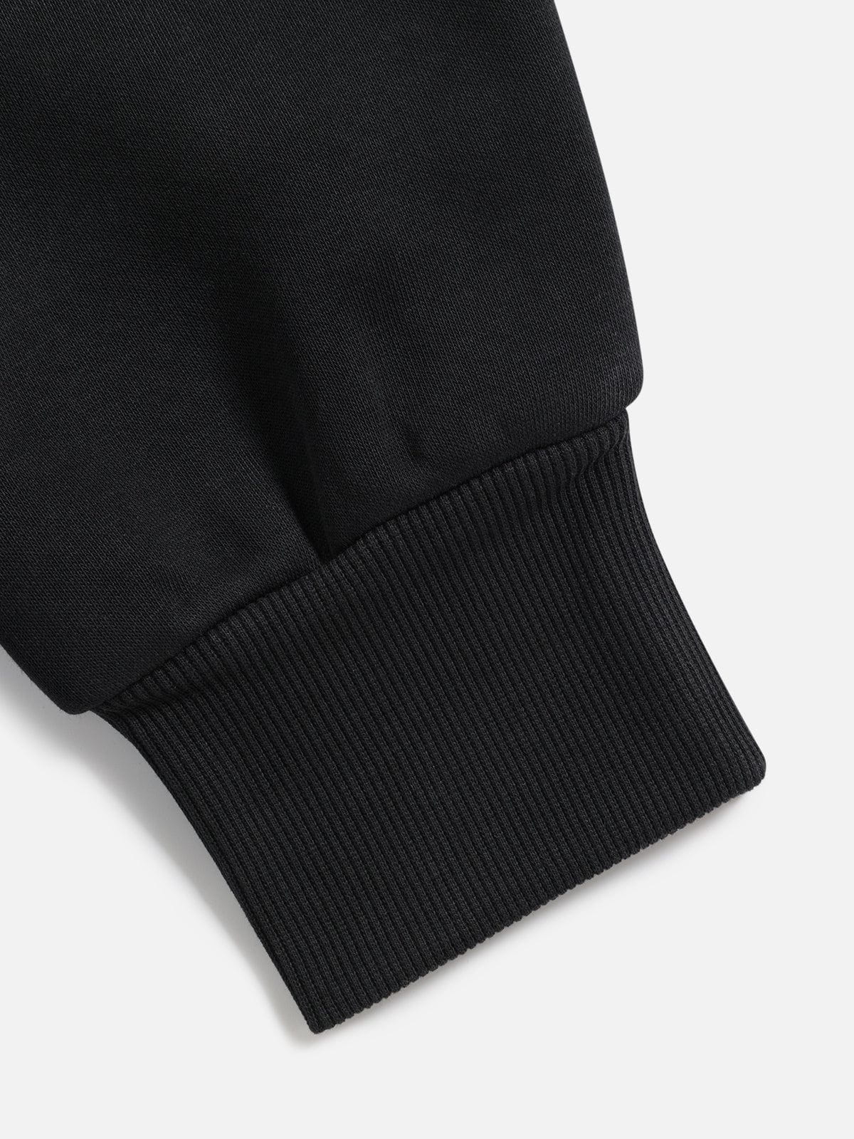 Aelfric Eden Oversized  Embroidery Puppy Pullover Hoodie