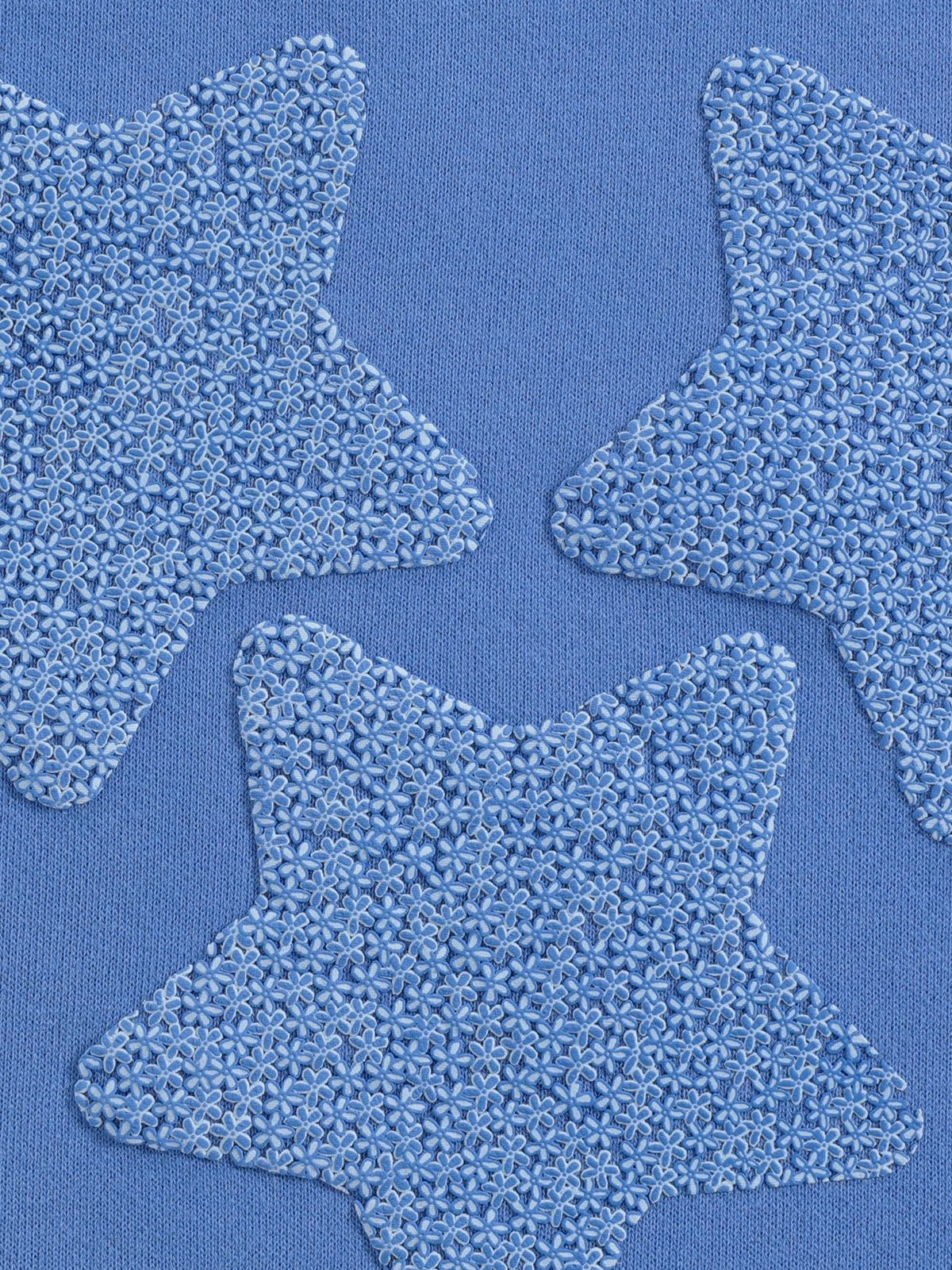 Aelfric Eden Floral Eden Star Pullover Hoodie