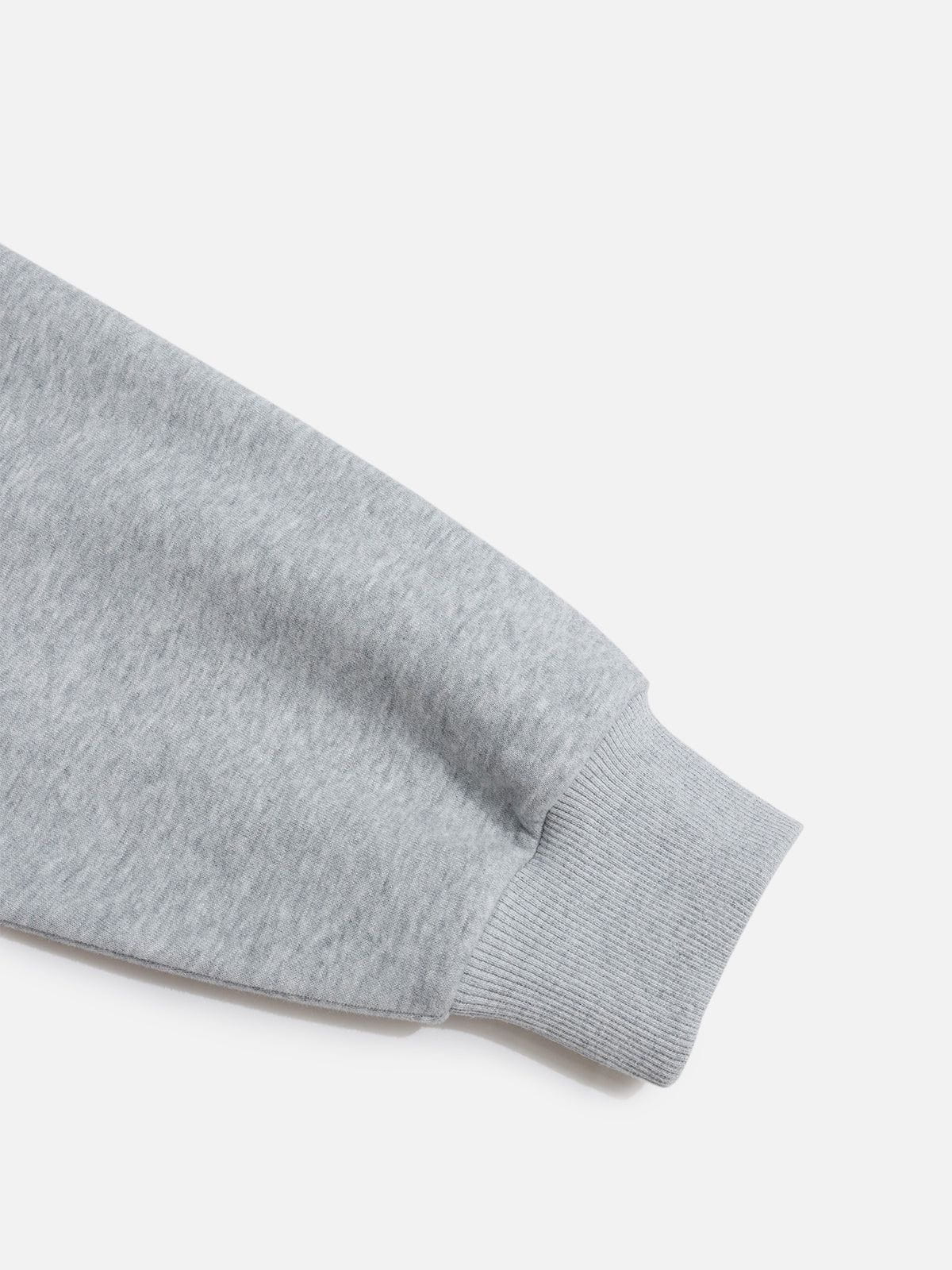 Aelfric Eden Cat Oversized Hoodie