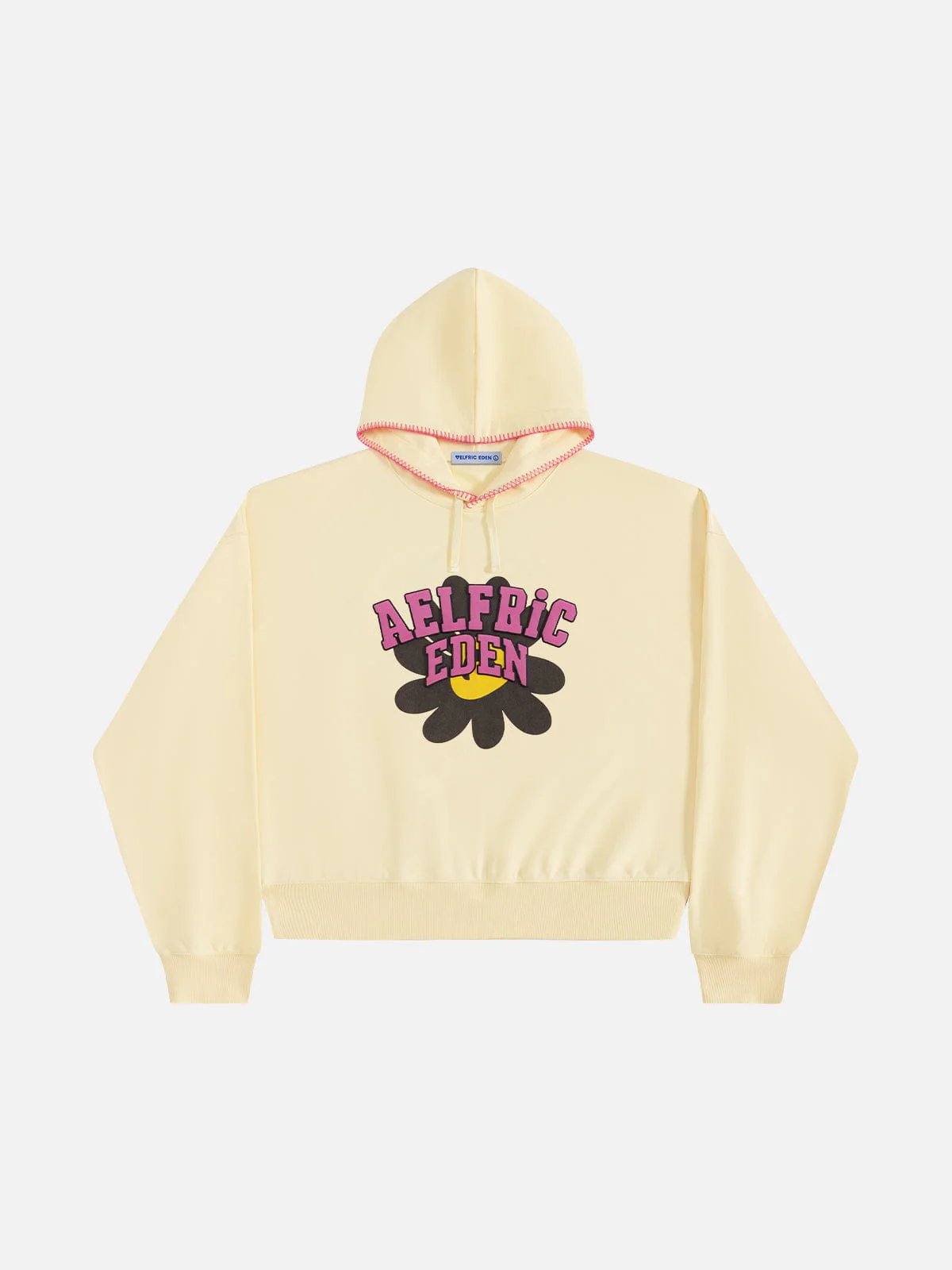 Aelfric Eden Boxy Flower Graphic Pullover Hoodie