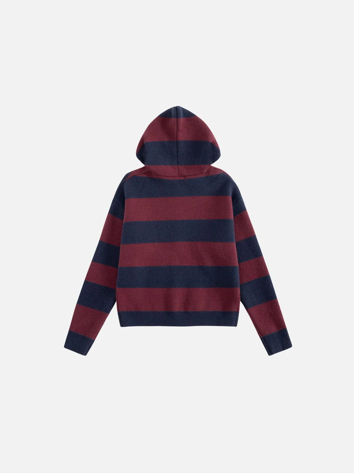 Aelfric Eden Stripe Knit Cropped Zip Up Hoodie