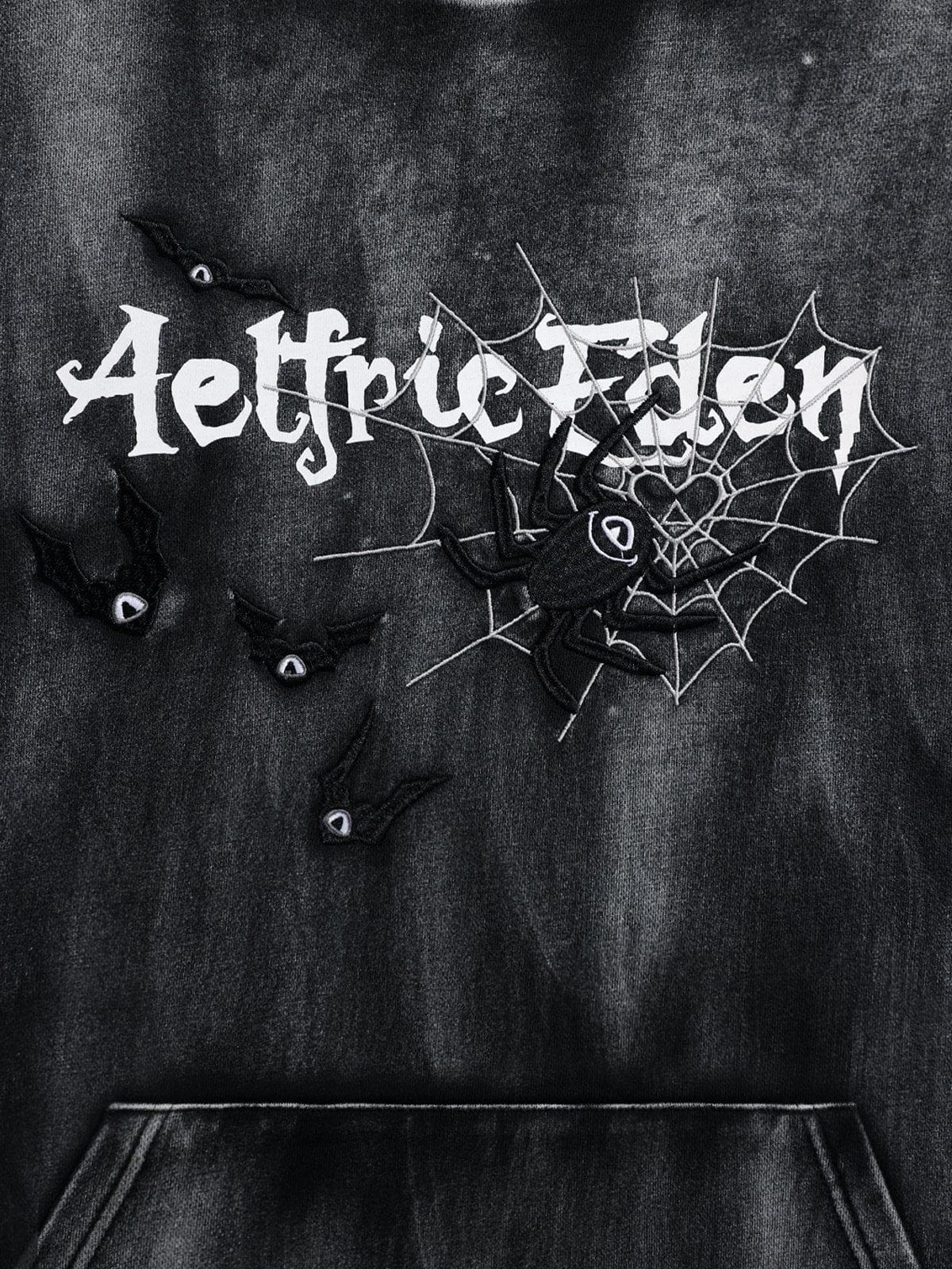 Aelfric Eden Embroidery Bat Spider Washed Pullover Hoodie