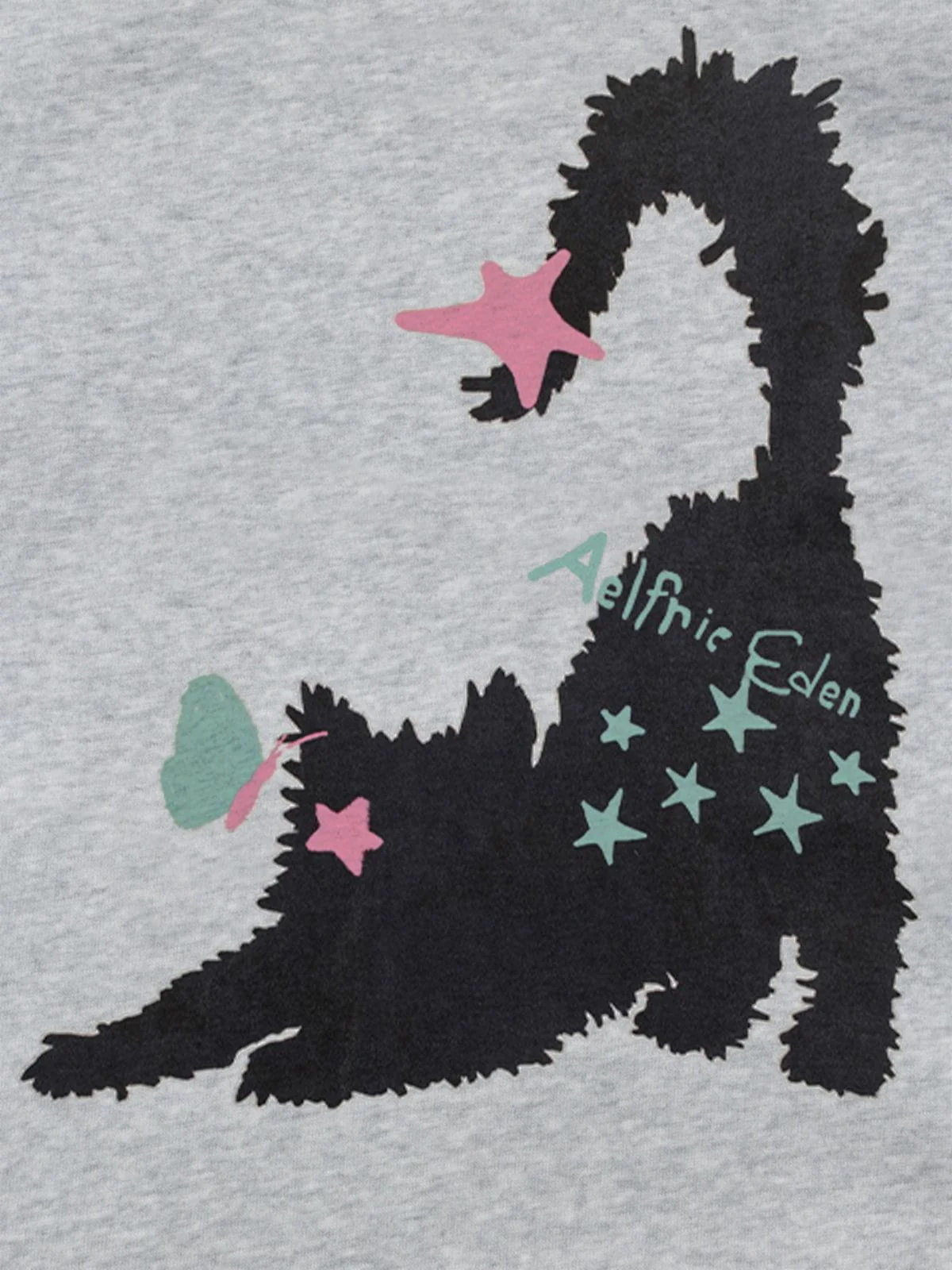 Aelfric Eden Cat Oversized Hoodie