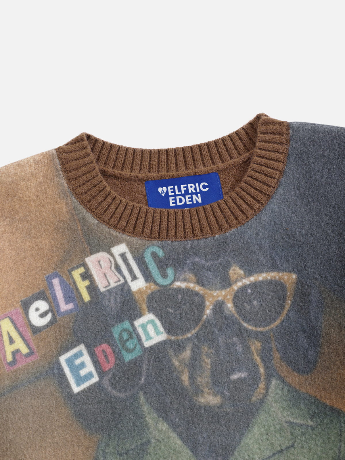 Aelfric Eden Dachshund Graphic Sweater