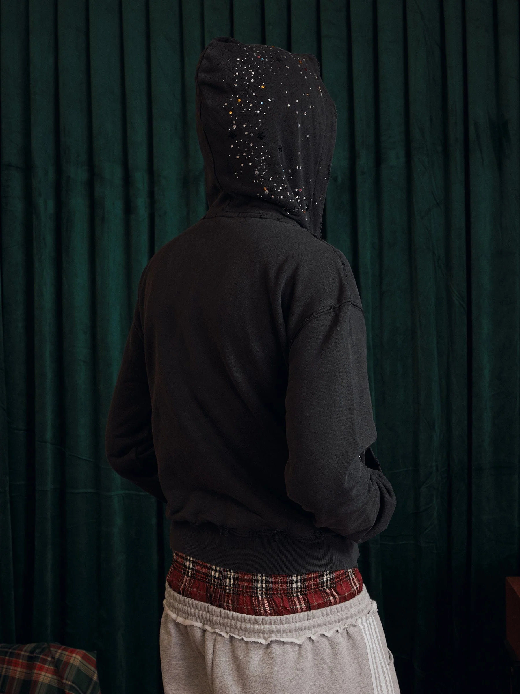 Aelfric Eden Rhinestone Boxy Zip Up V302 Hoodie