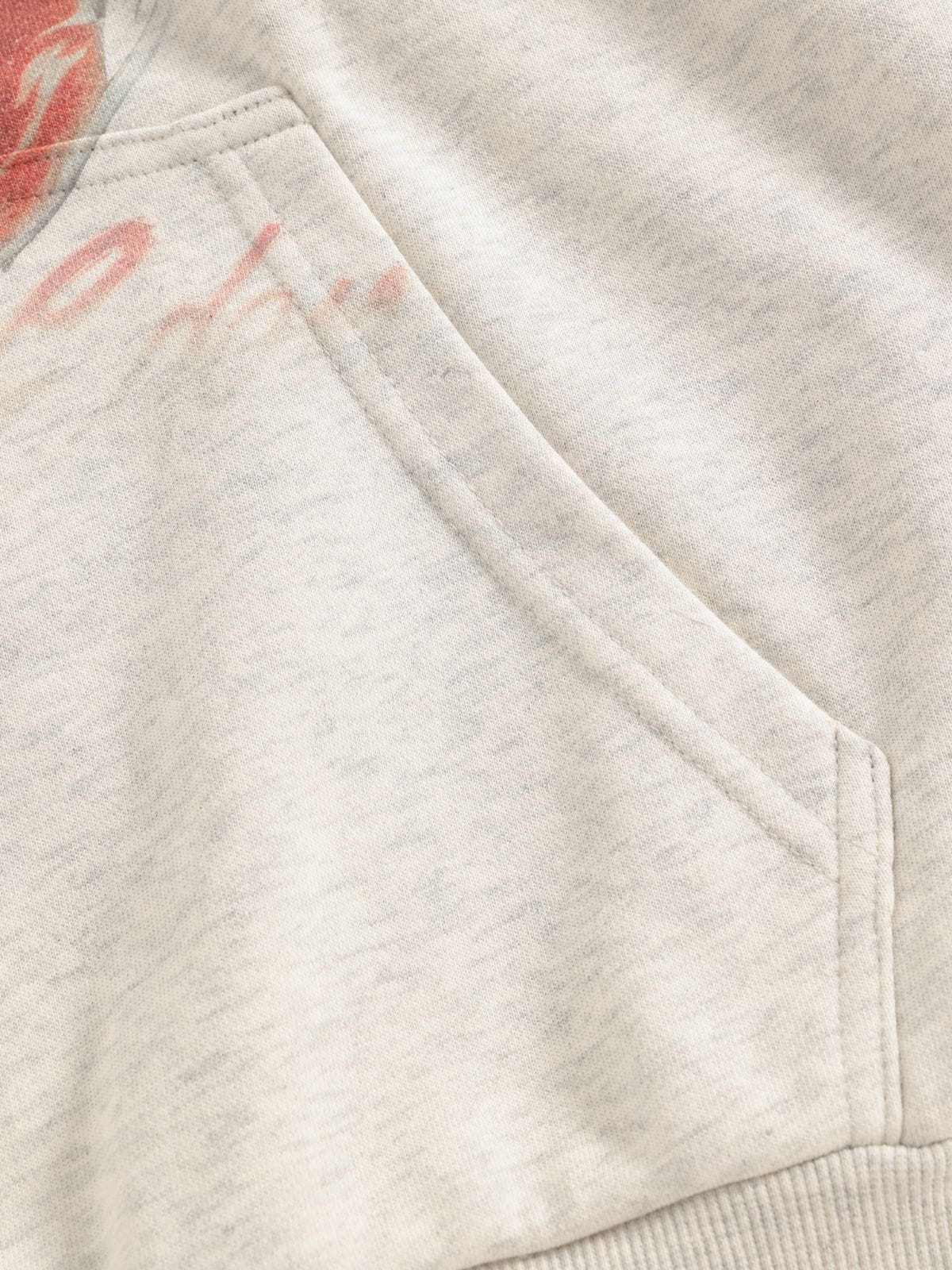 Aelfric Eden Cherry Print Pullover Hoodie