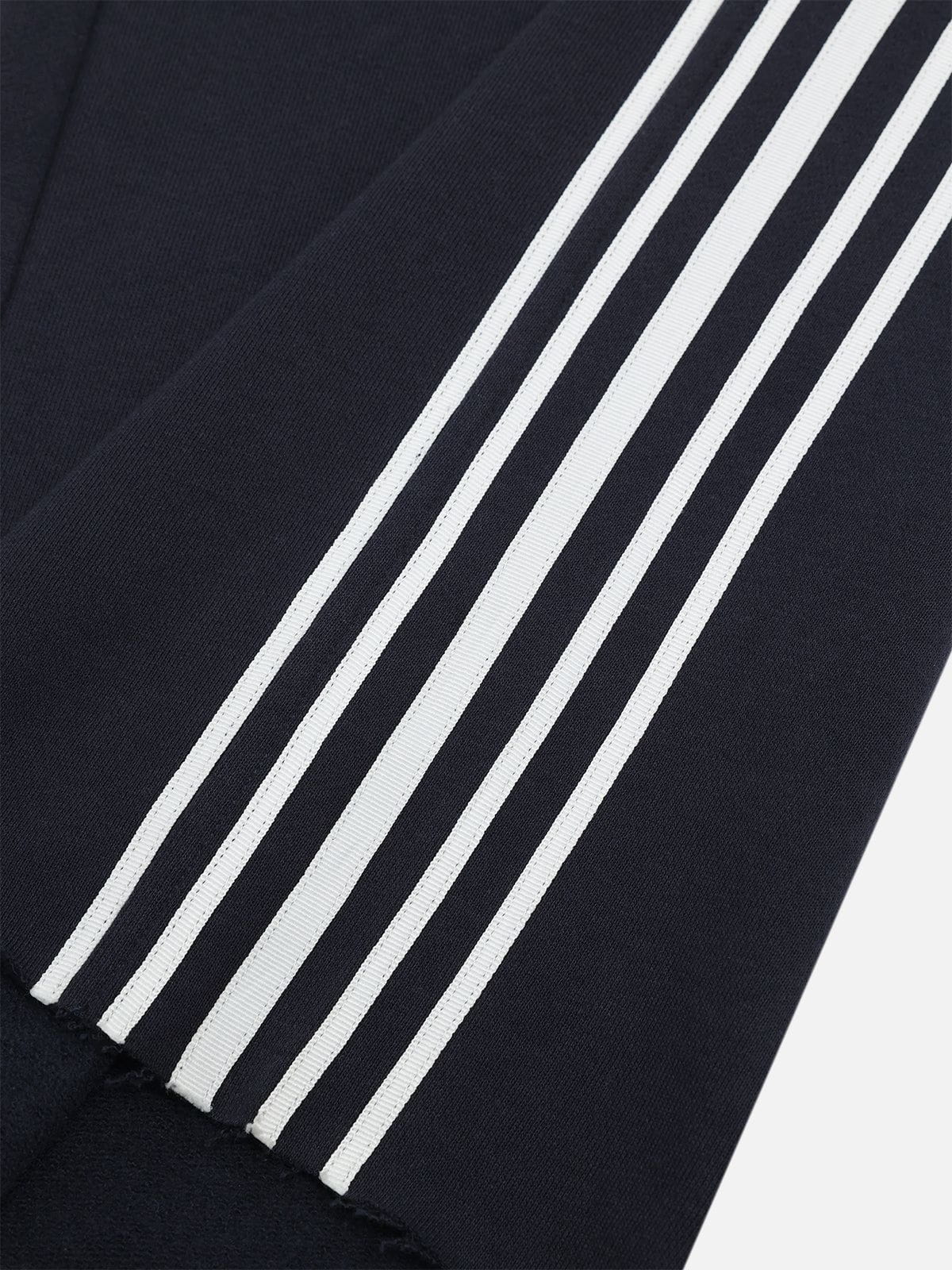 Aelfric Eden Double Waist Baggy Sweatpants