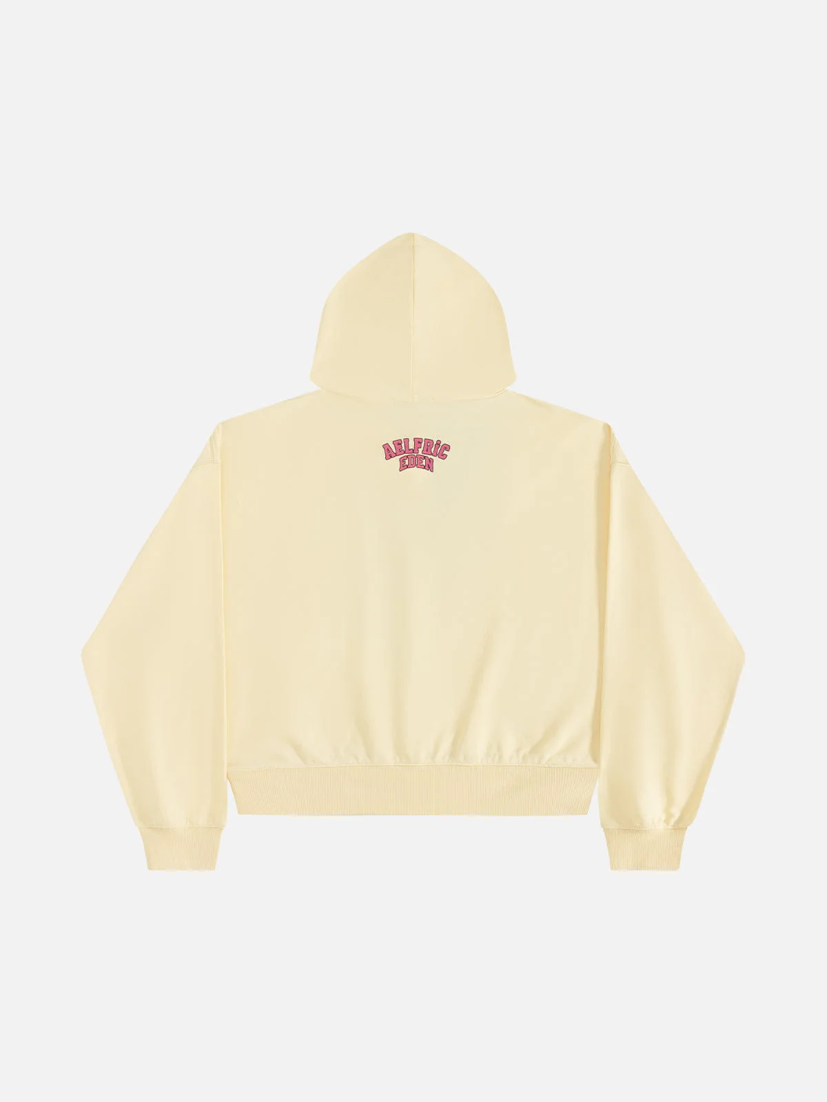 Aelfric Eden Boxy Flower Graphic Pullover Hoodie