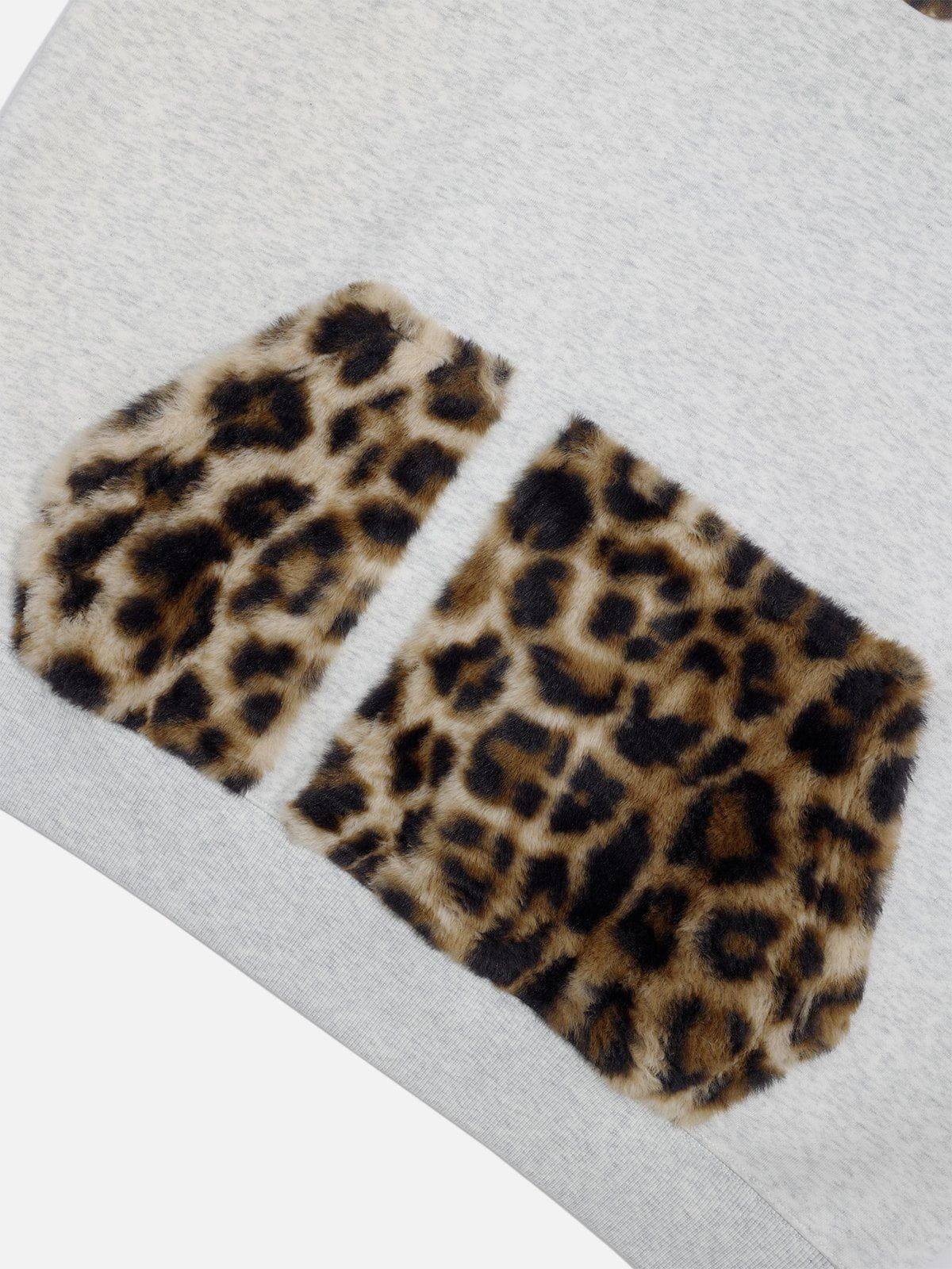 Aelfric Eden Oversized Leopard Hoodie