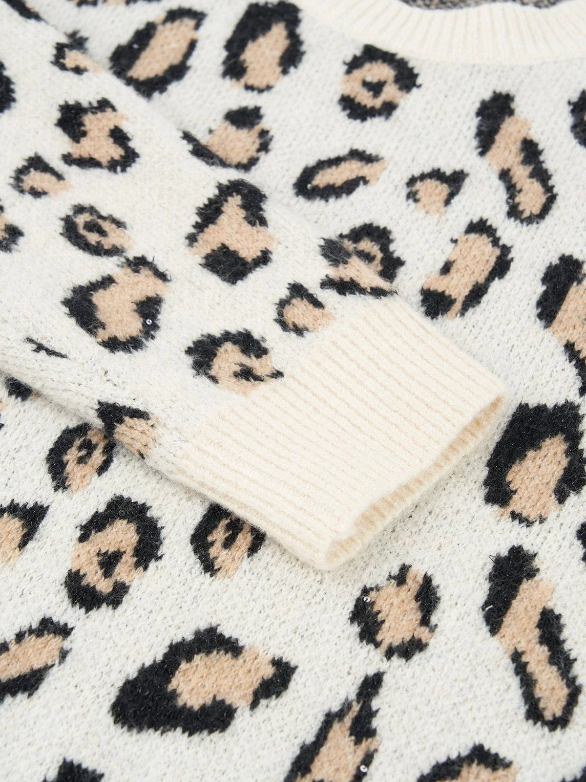 Aelfric Eden Leopard Graphic Sweater