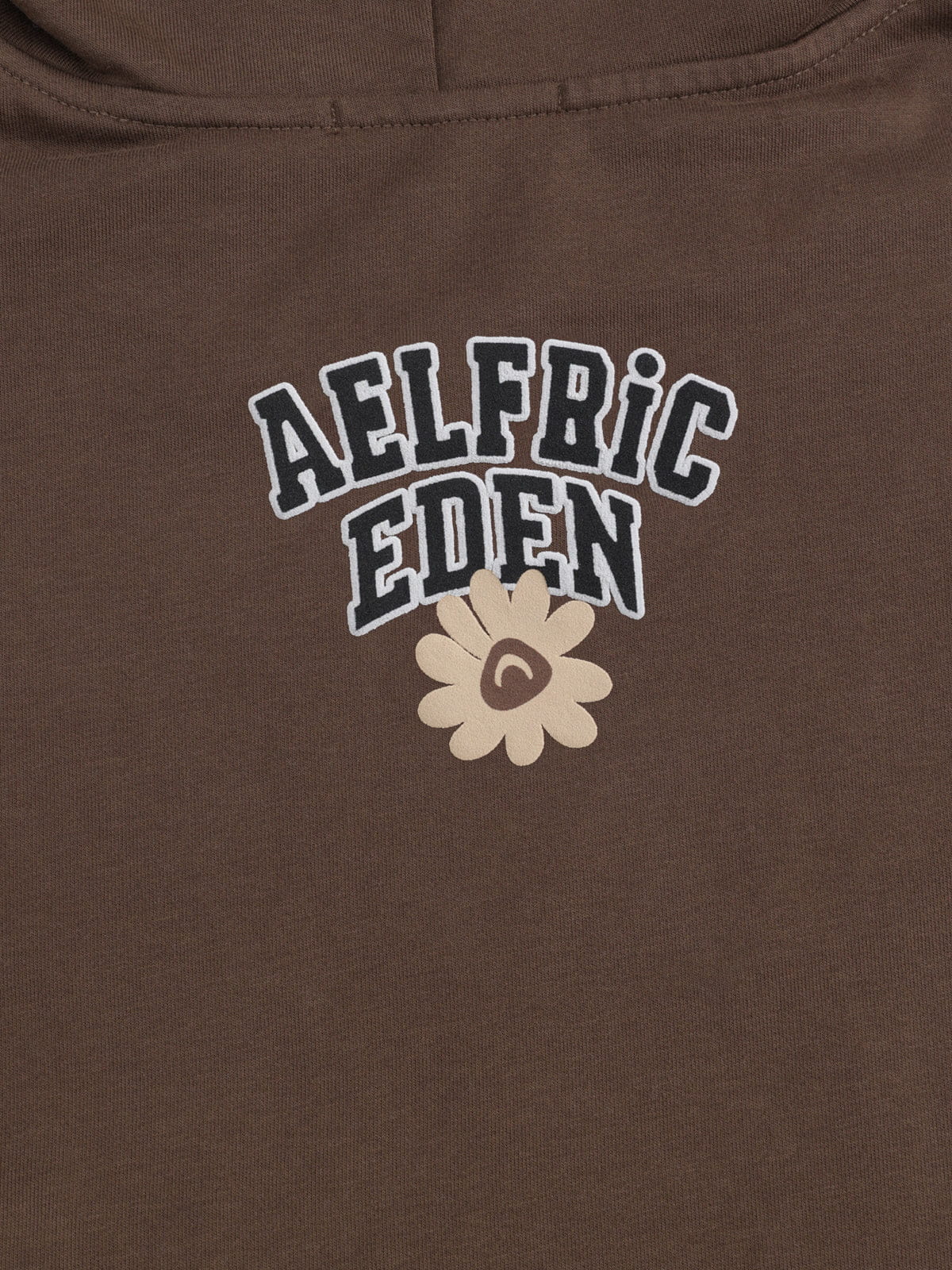 Aelfric Eden Oversized Flower Graphic Pullover Hoodie