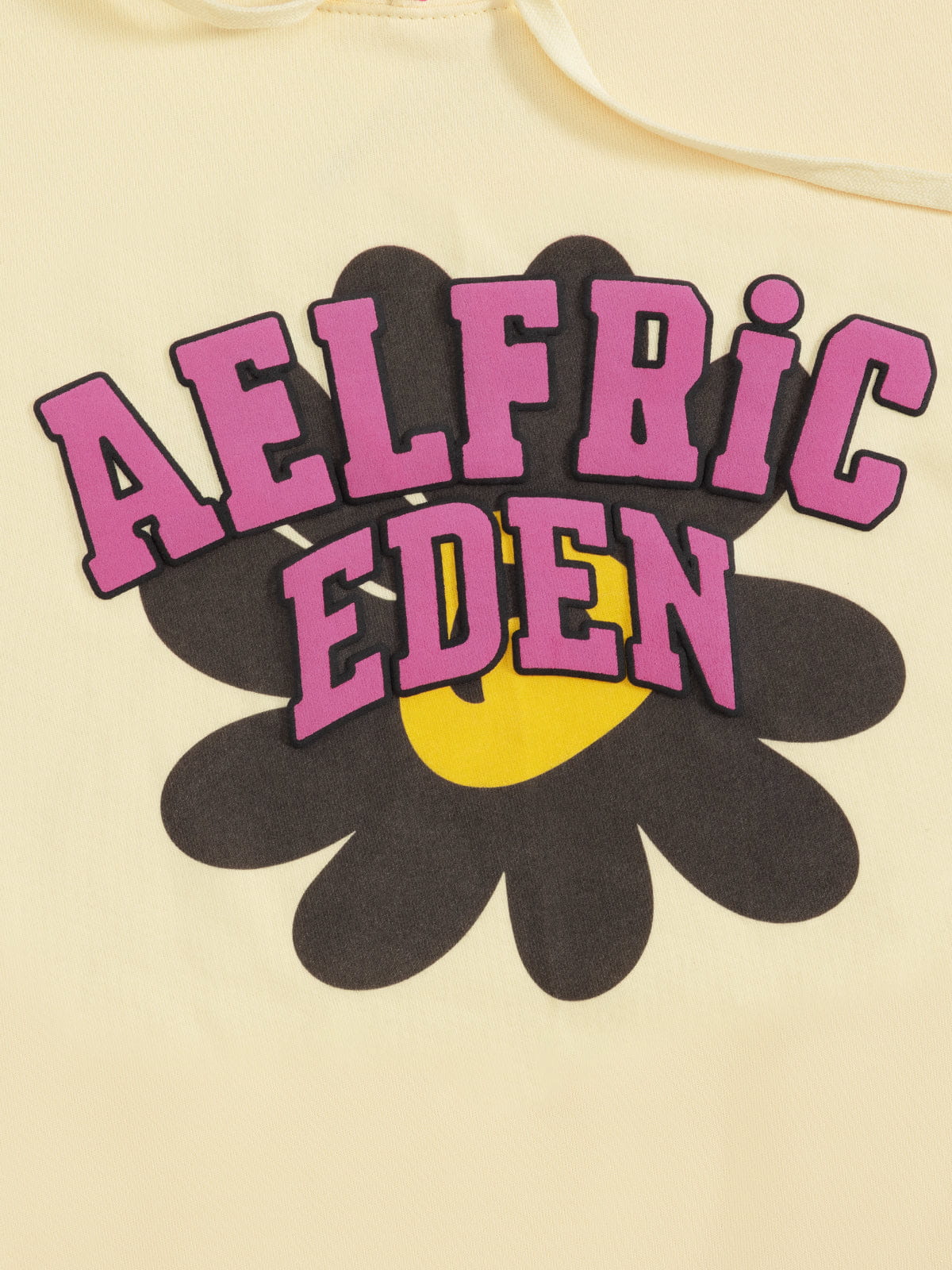 Aelfric Eden Boxy Flower Graphic Pullover Hoodie