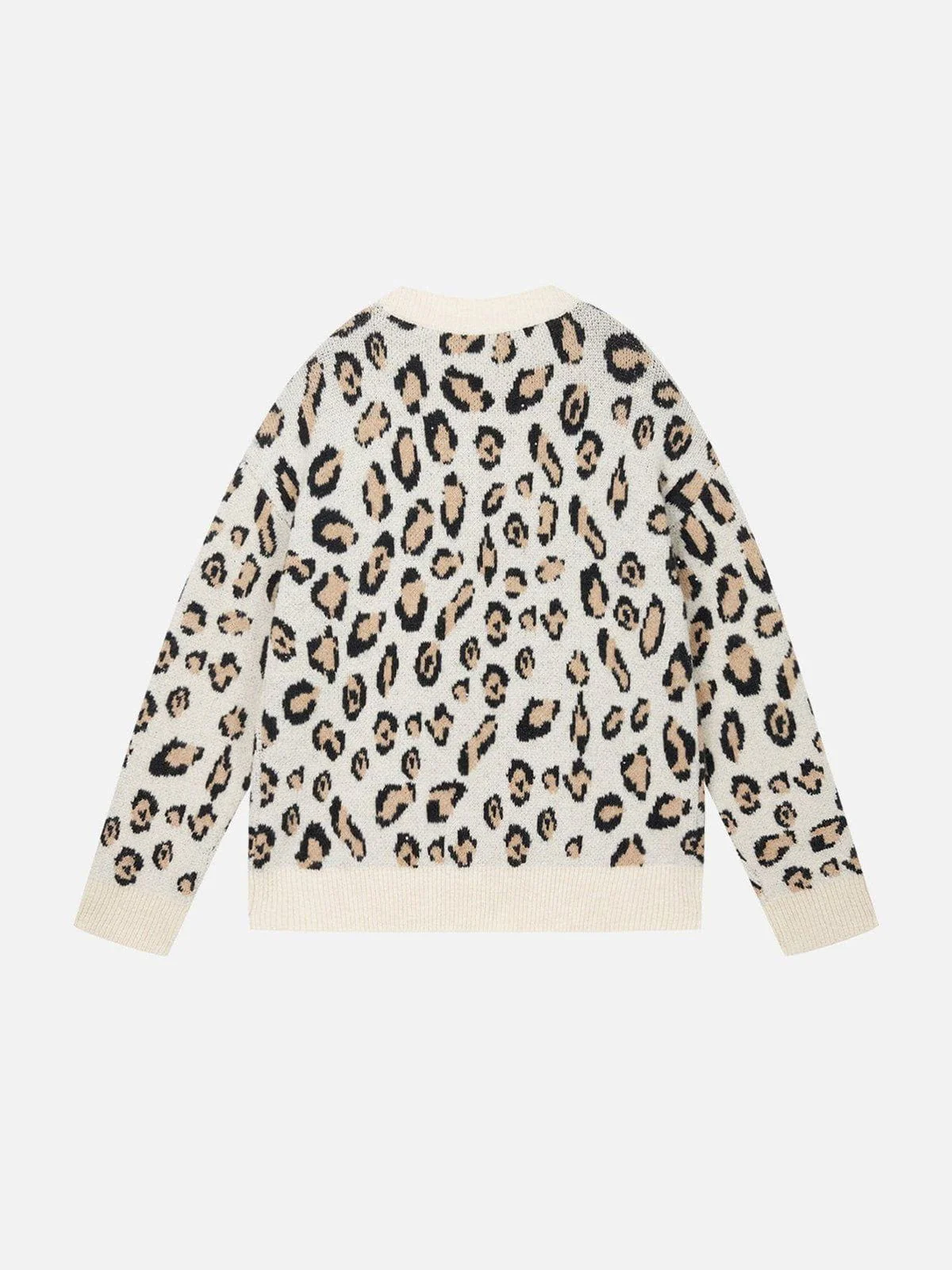 Aelfric Eden Leopard Graphic Sweater
