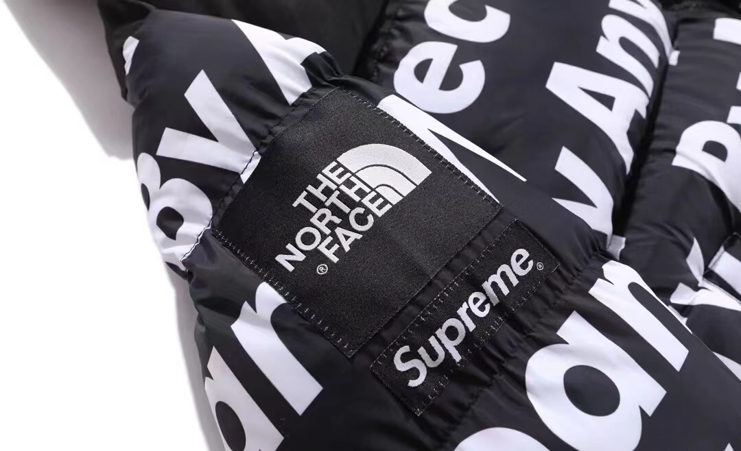 TNF Down Jacket Puffer Coat