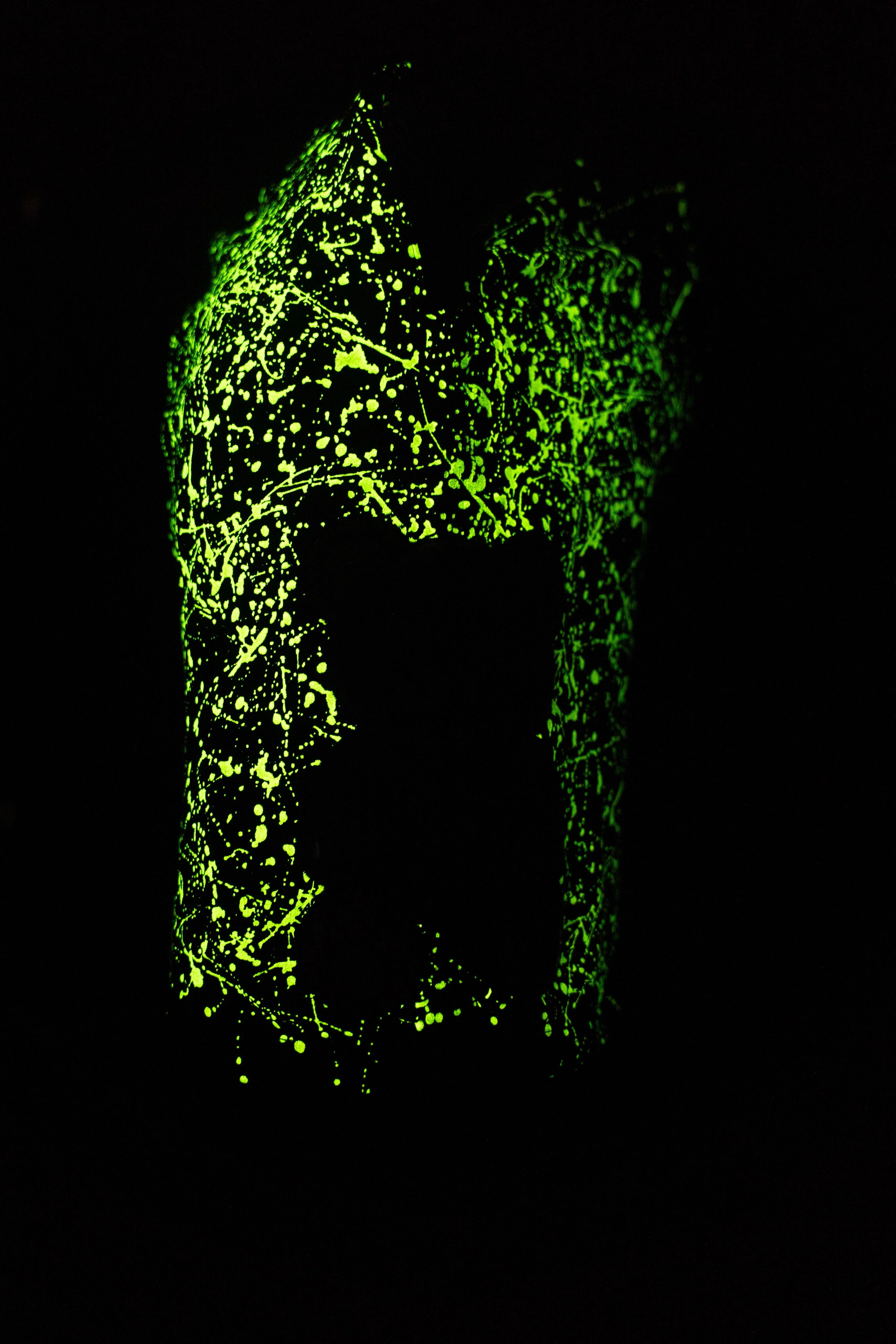 SHORTS NR BEAR BLACK