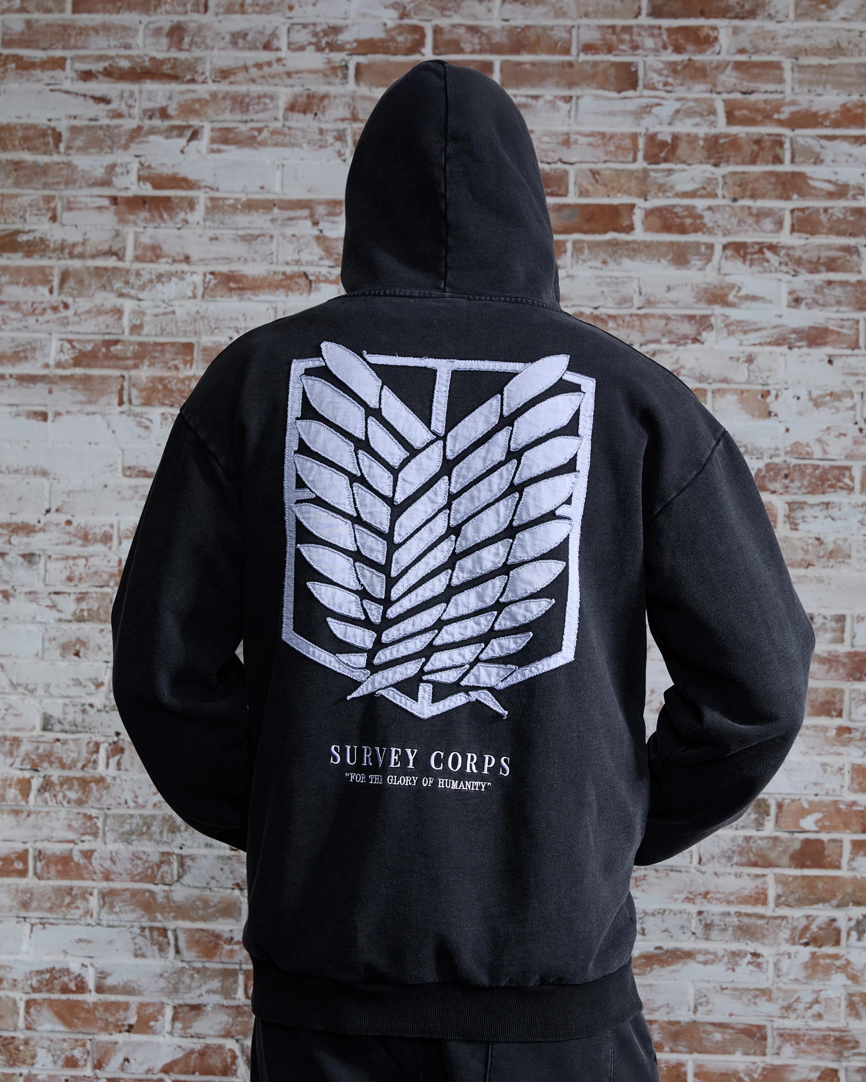 SURVEY CORPES ZIP-UPS