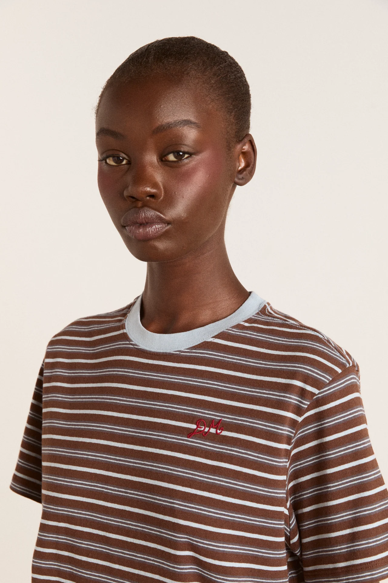 ariel relaxed ss tee - brown/blue stripe