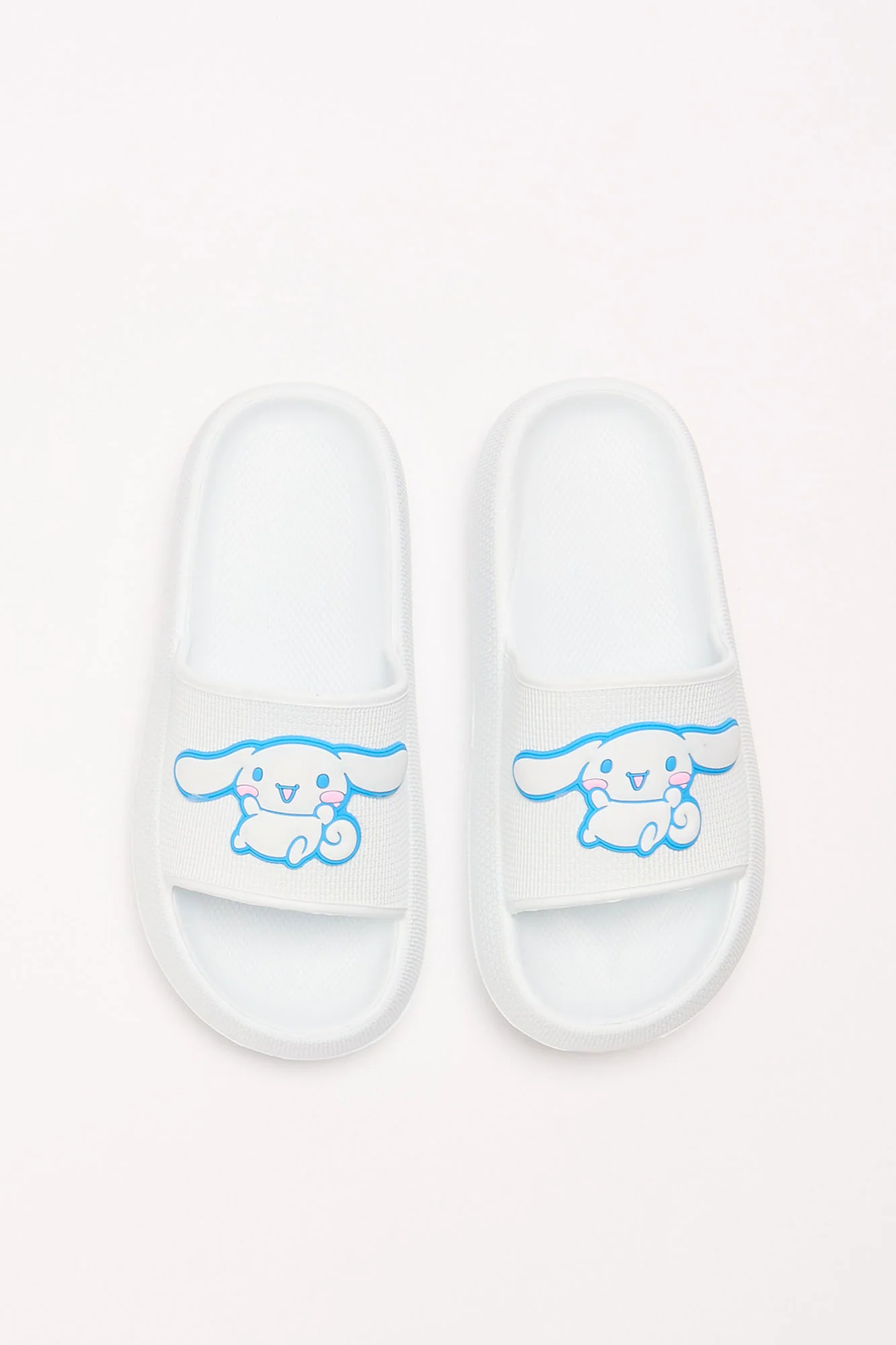Cinnamoroll Slides