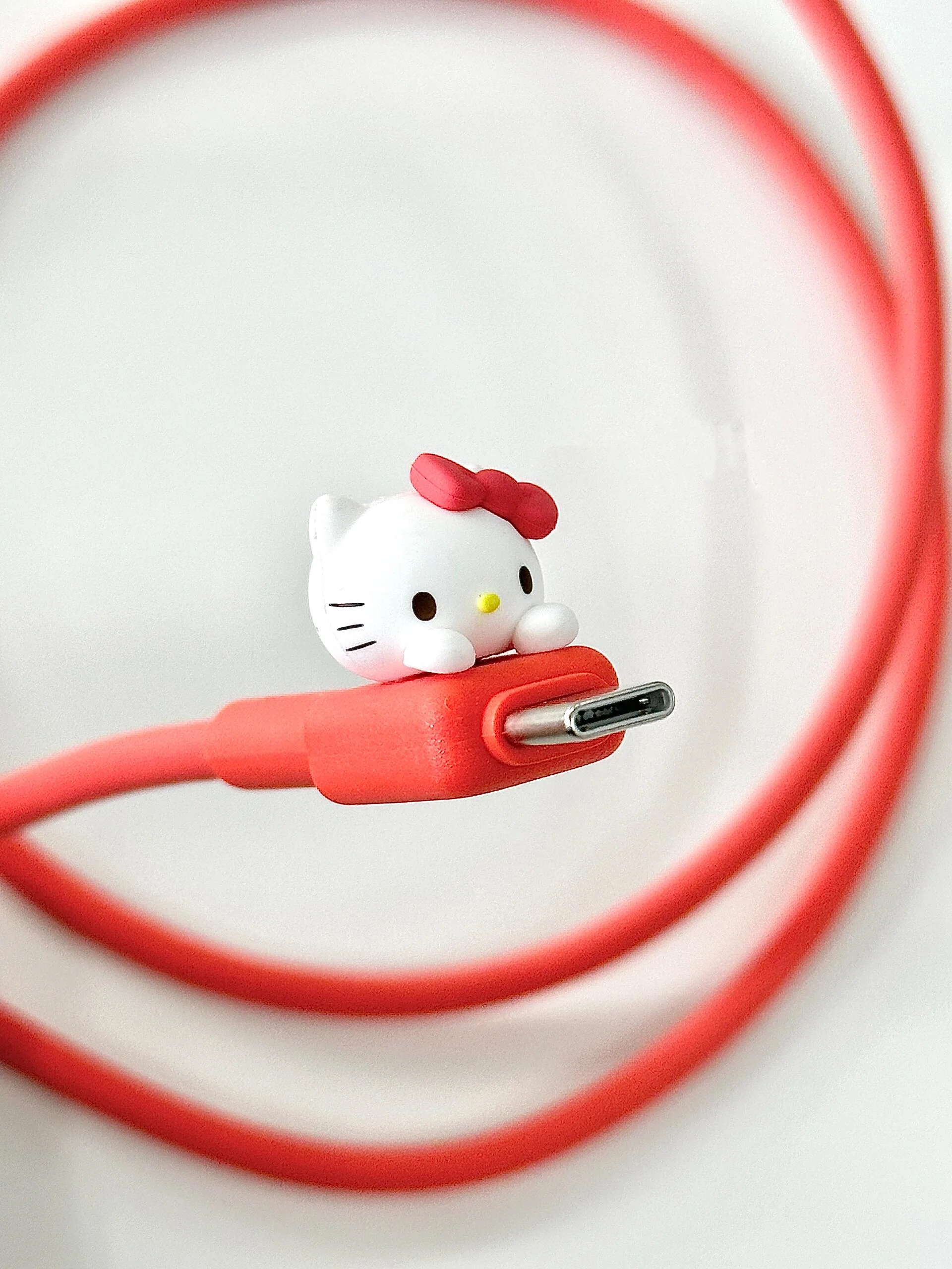 Sanrio Charging Cable Fast Charger Cord Adapter with IP/Type C