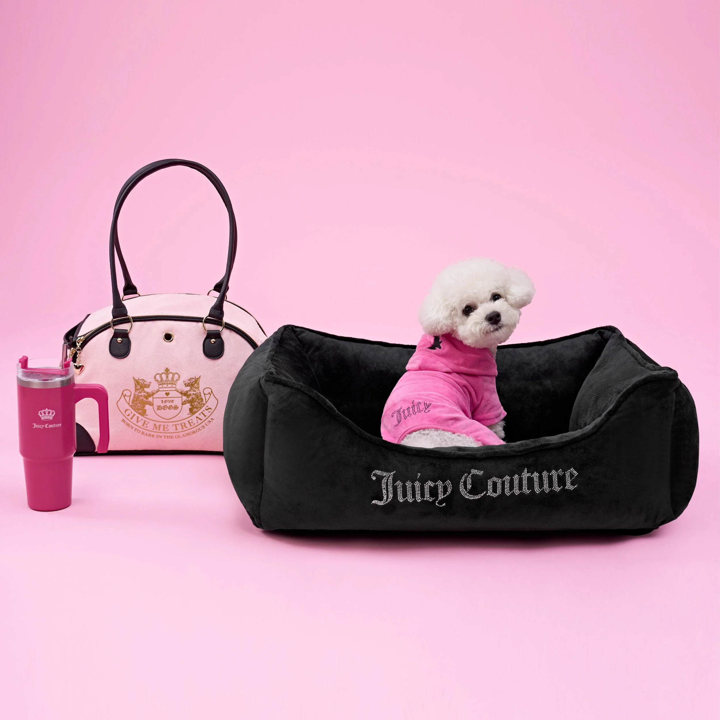 Pet Carrier
