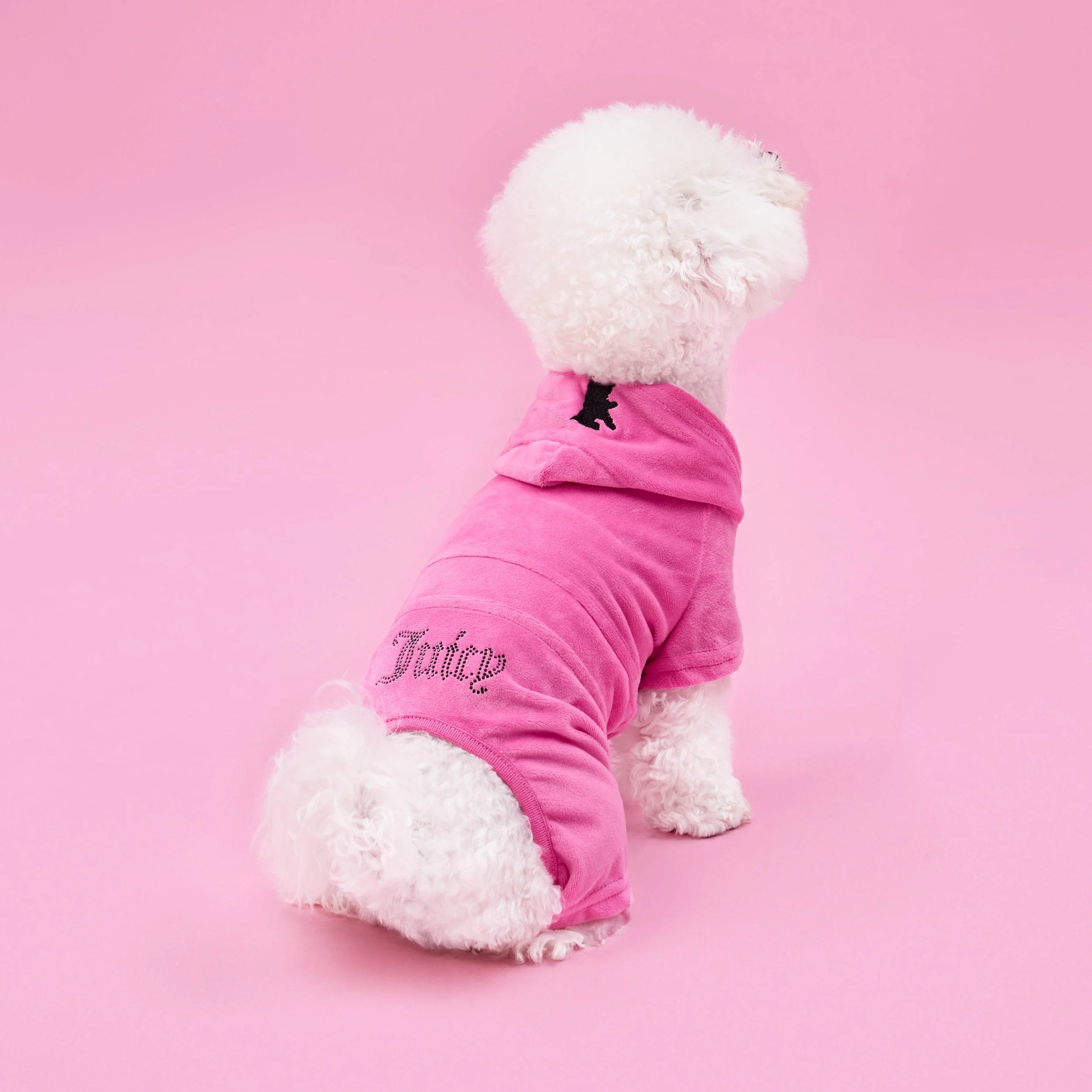 Bling Velour Pet Tracksuit