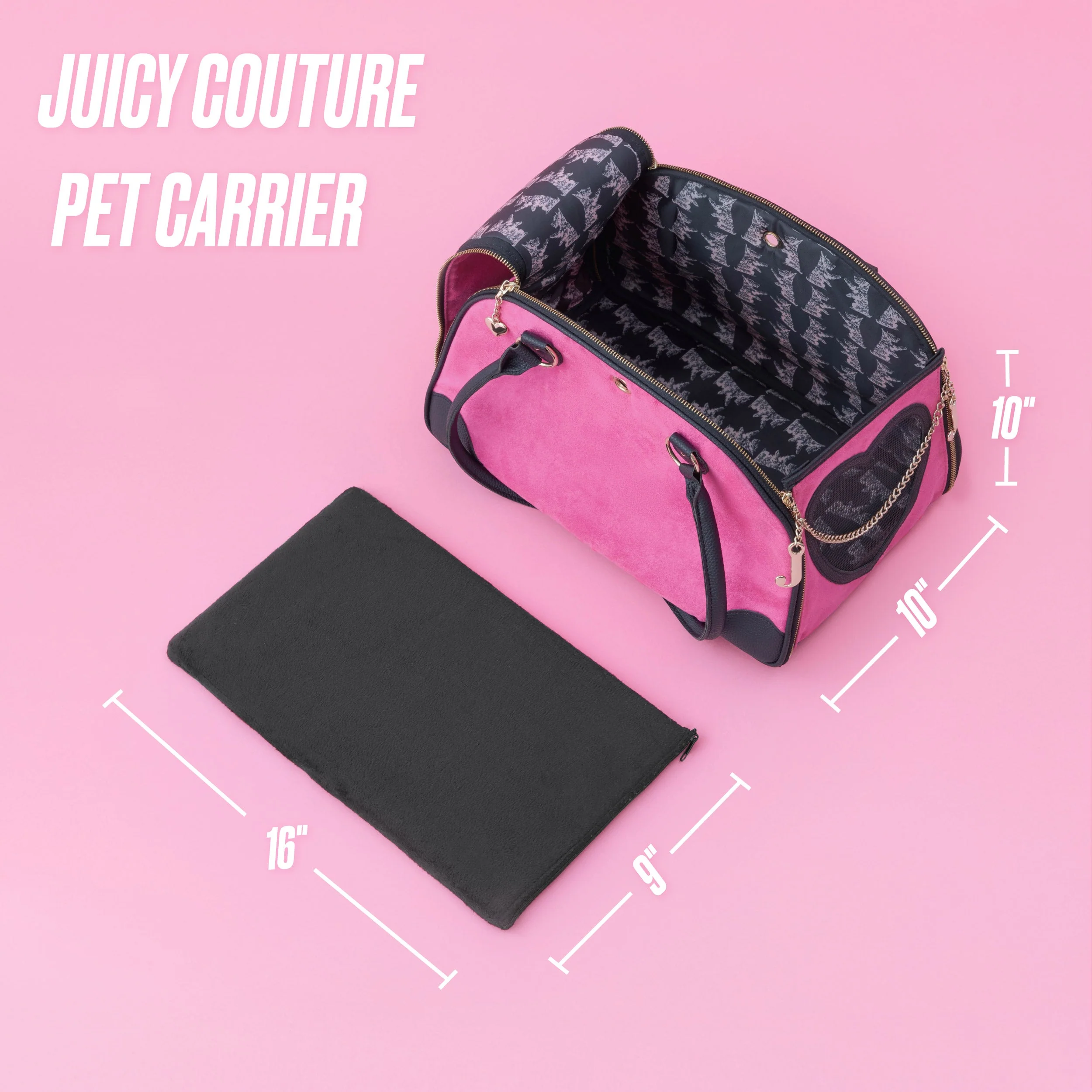 Pet Carrier