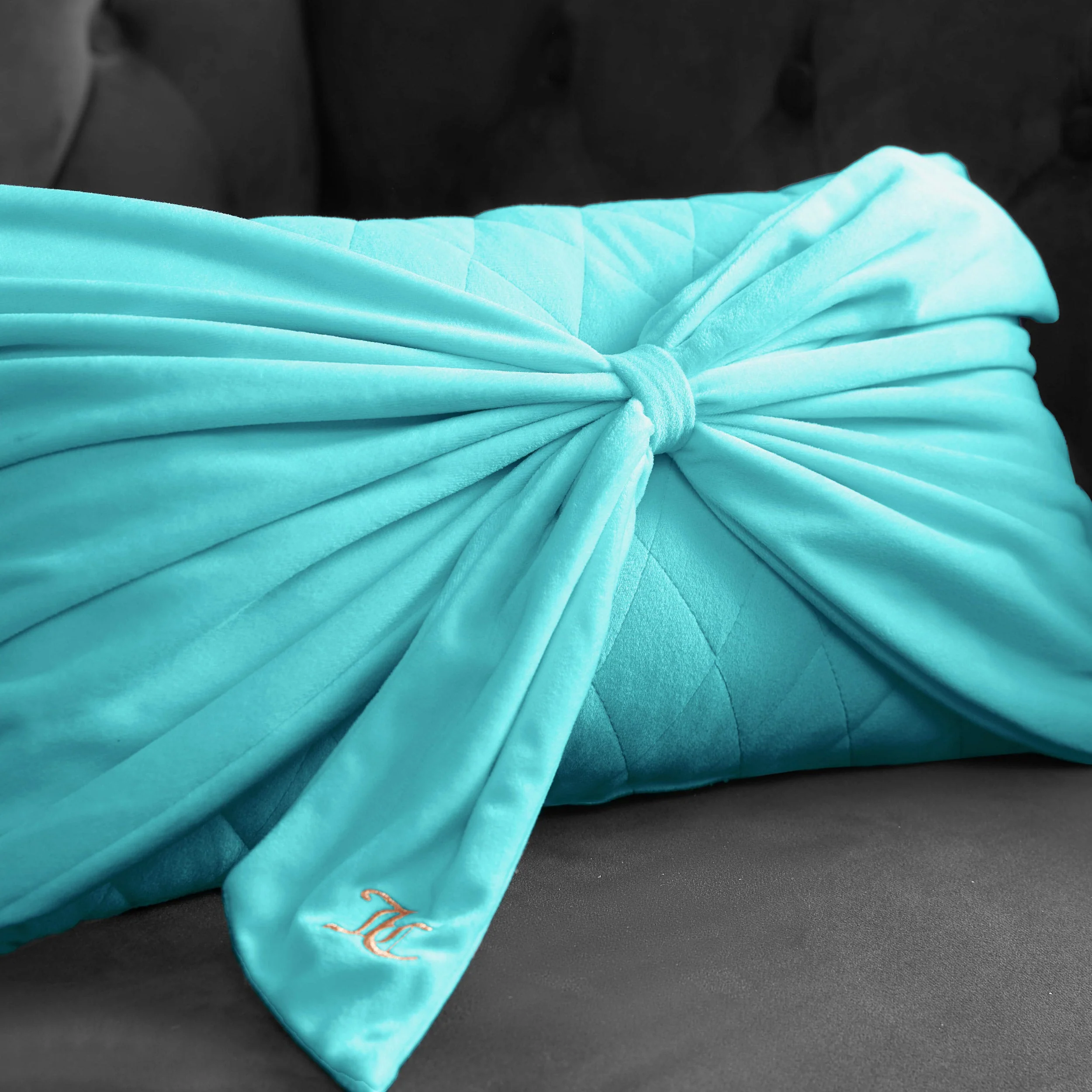 Velvet Bow Decorative Pillow