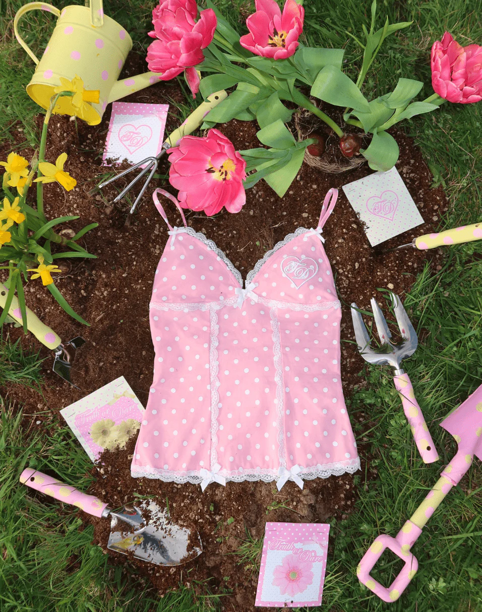 Strawberries and Cream Charlotte