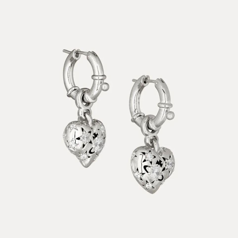 2 Colors LEE Earrings