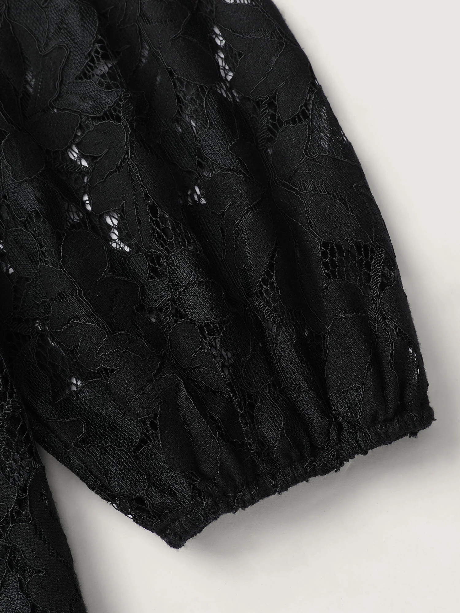 Lace Trim Sheer Ruffled Collar Button Shirt